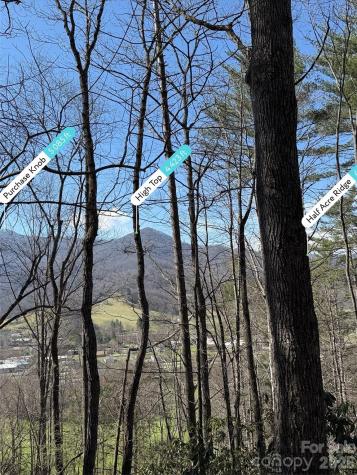 204 Minerva Drive Waynesville NC 28785