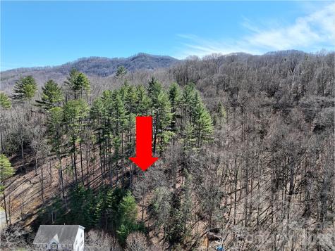 204 Minerva Drive Waynesville NC 28785