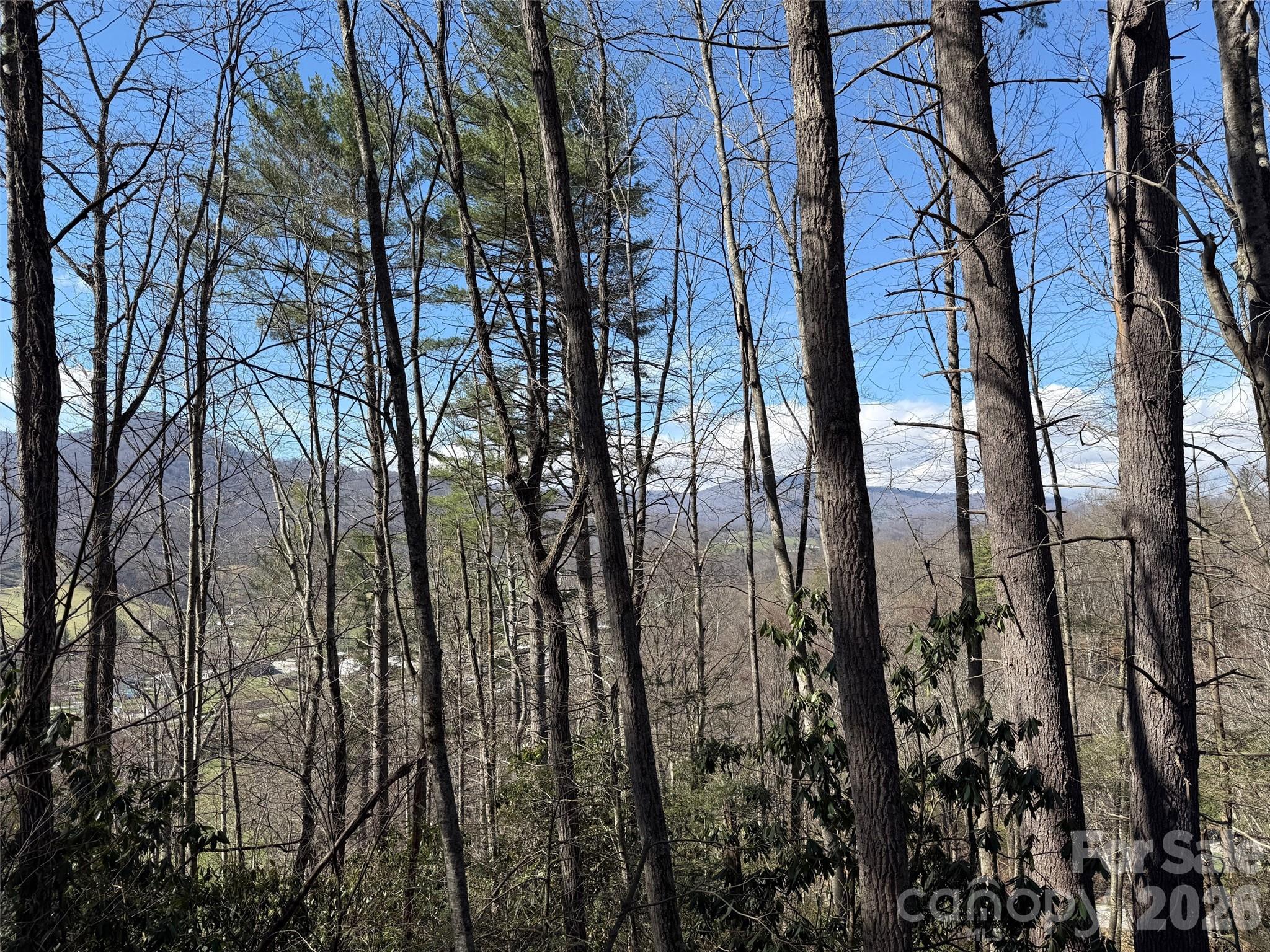 204 Minerva Drive Waynesville NC 28785