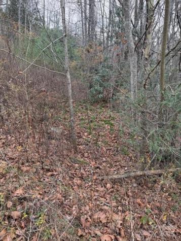 0 Relaxation Place Lenoir NC 28645