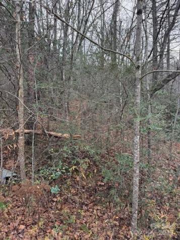 0 Relaxation Place Lenoir NC 28645