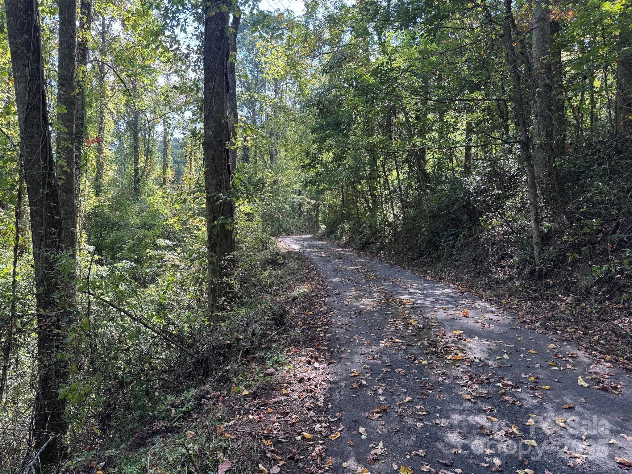 89 White Oak Gap Road Asheville NC 28803