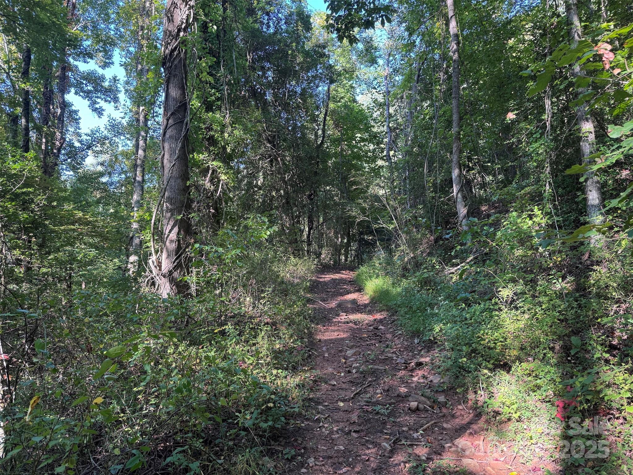 89 White Oak Gap Road Asheville NC 28803
