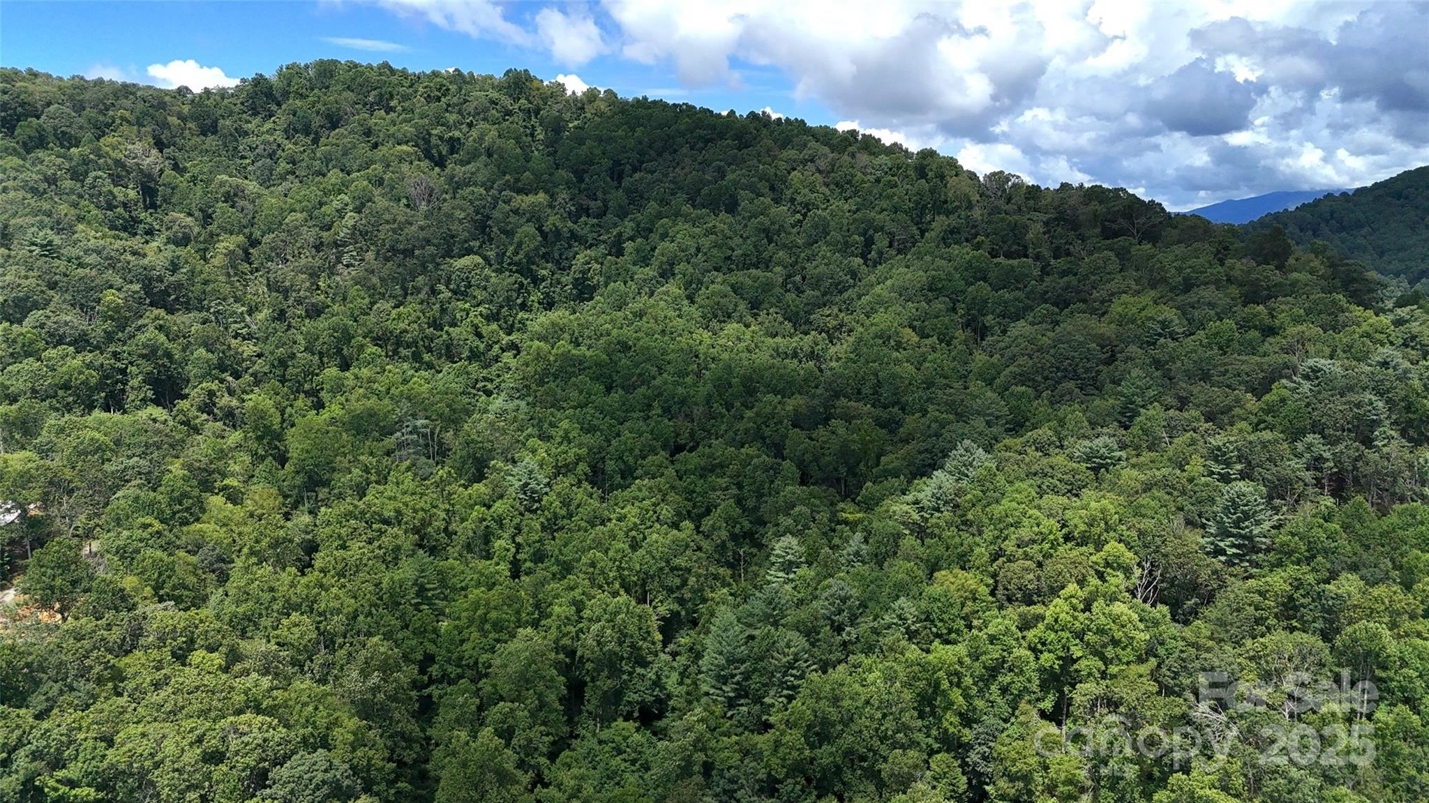 89 White Oak Gap Road Asheville NC 28803