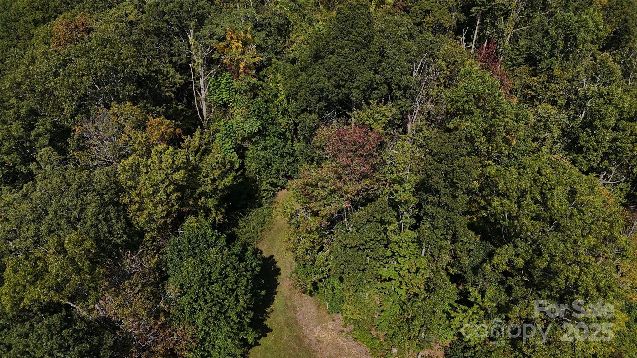 89 White Oak Gap Road Asheville NC 28803