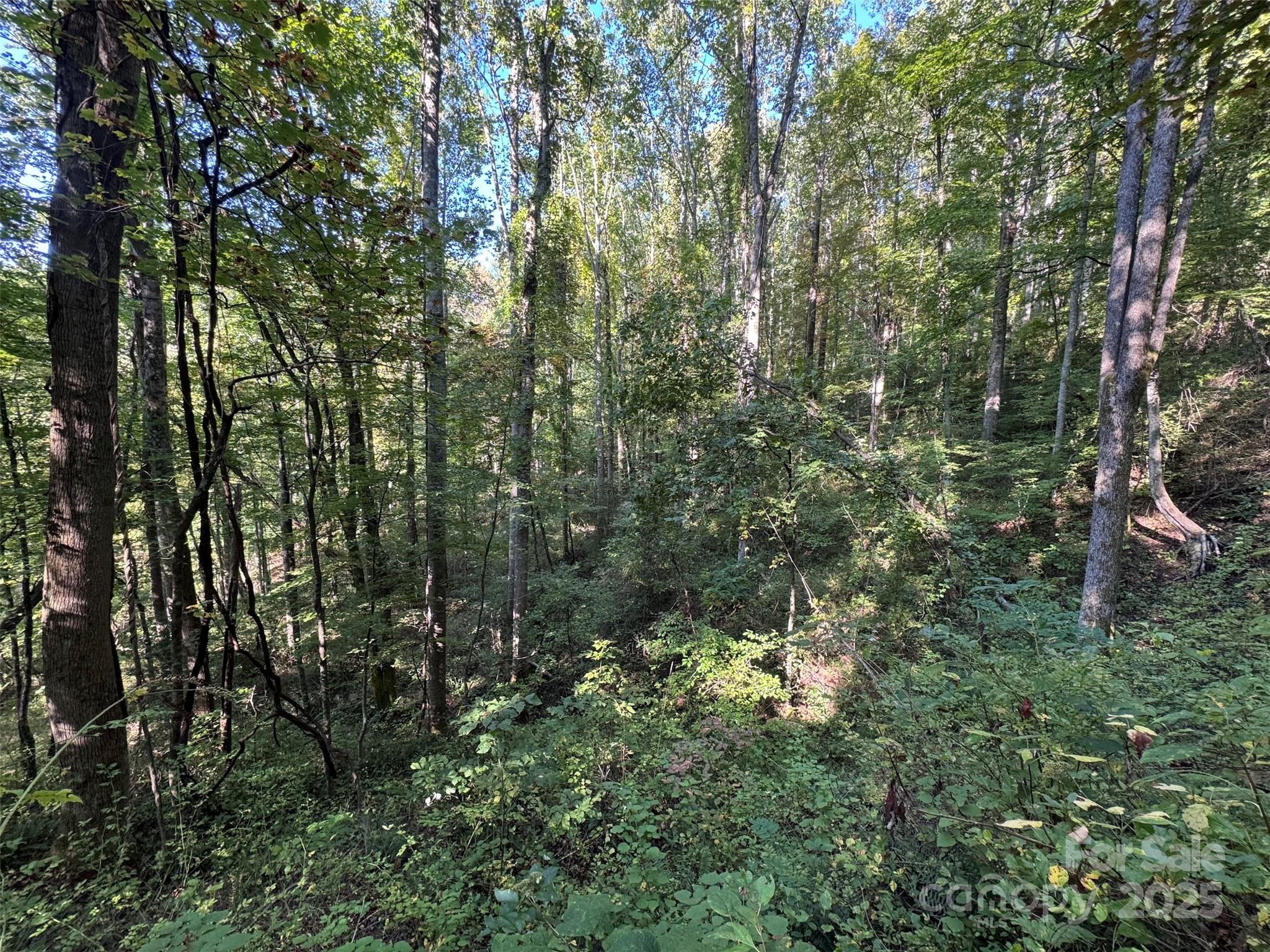 89 White Oak Gap Road Asheville NC 28803