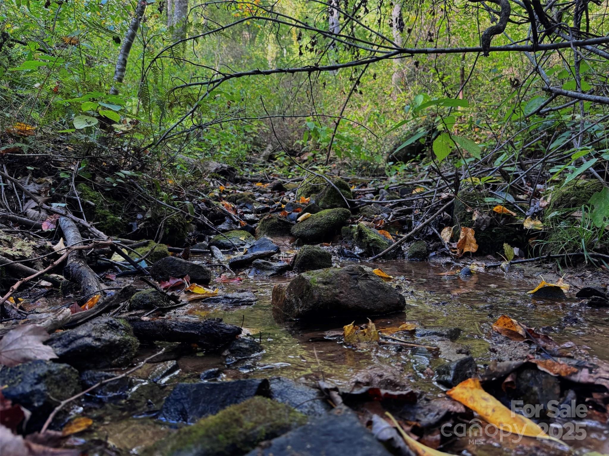 89 White Oak Gap Road Asheville NC 28803