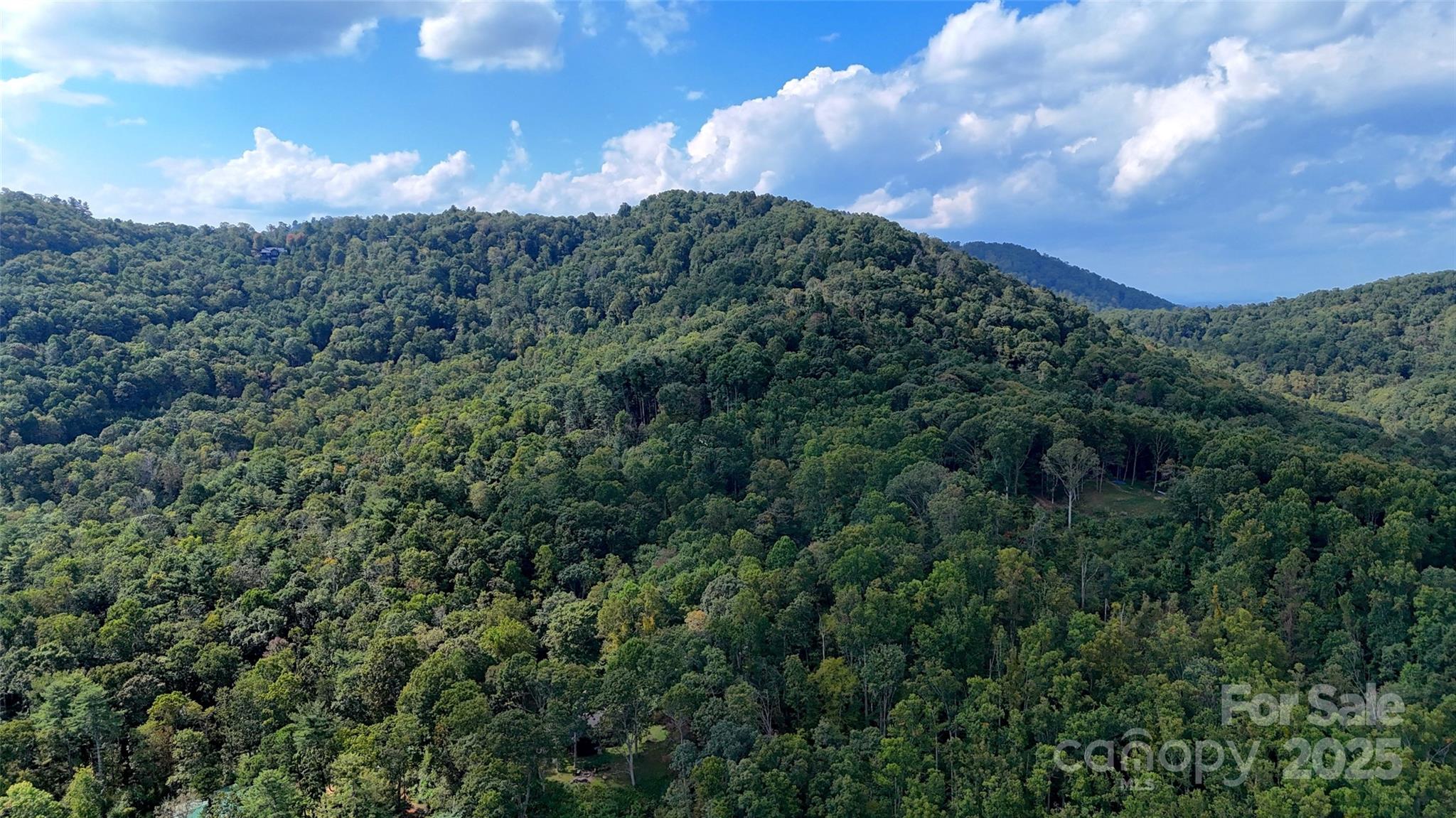 89 White Oak Gap Road Asheville NC 28803