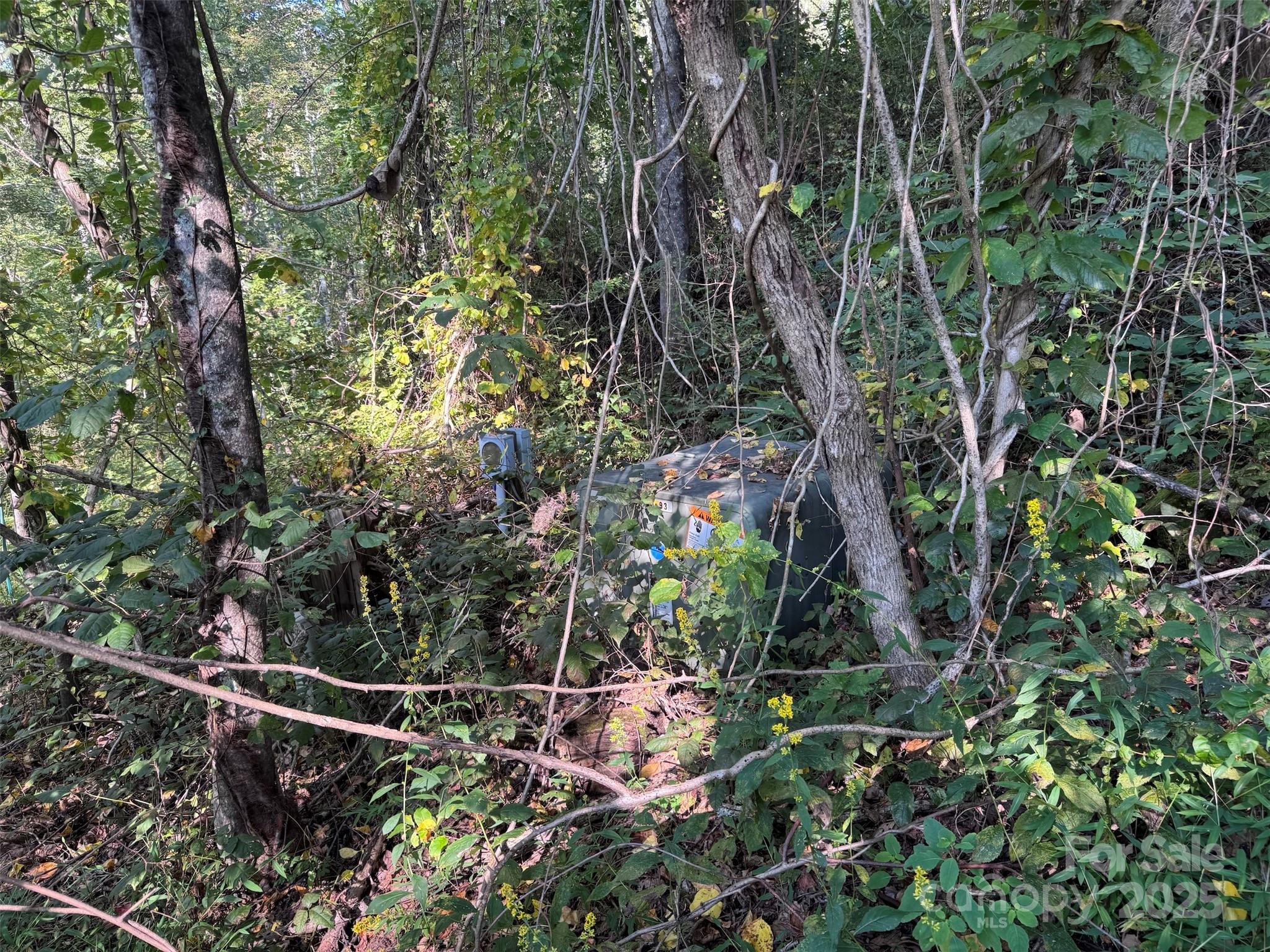 89 White Oak Gap Road Asheville NC 28803