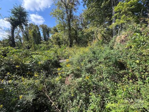 89 White Oak Gap Road Asheville NC 28803