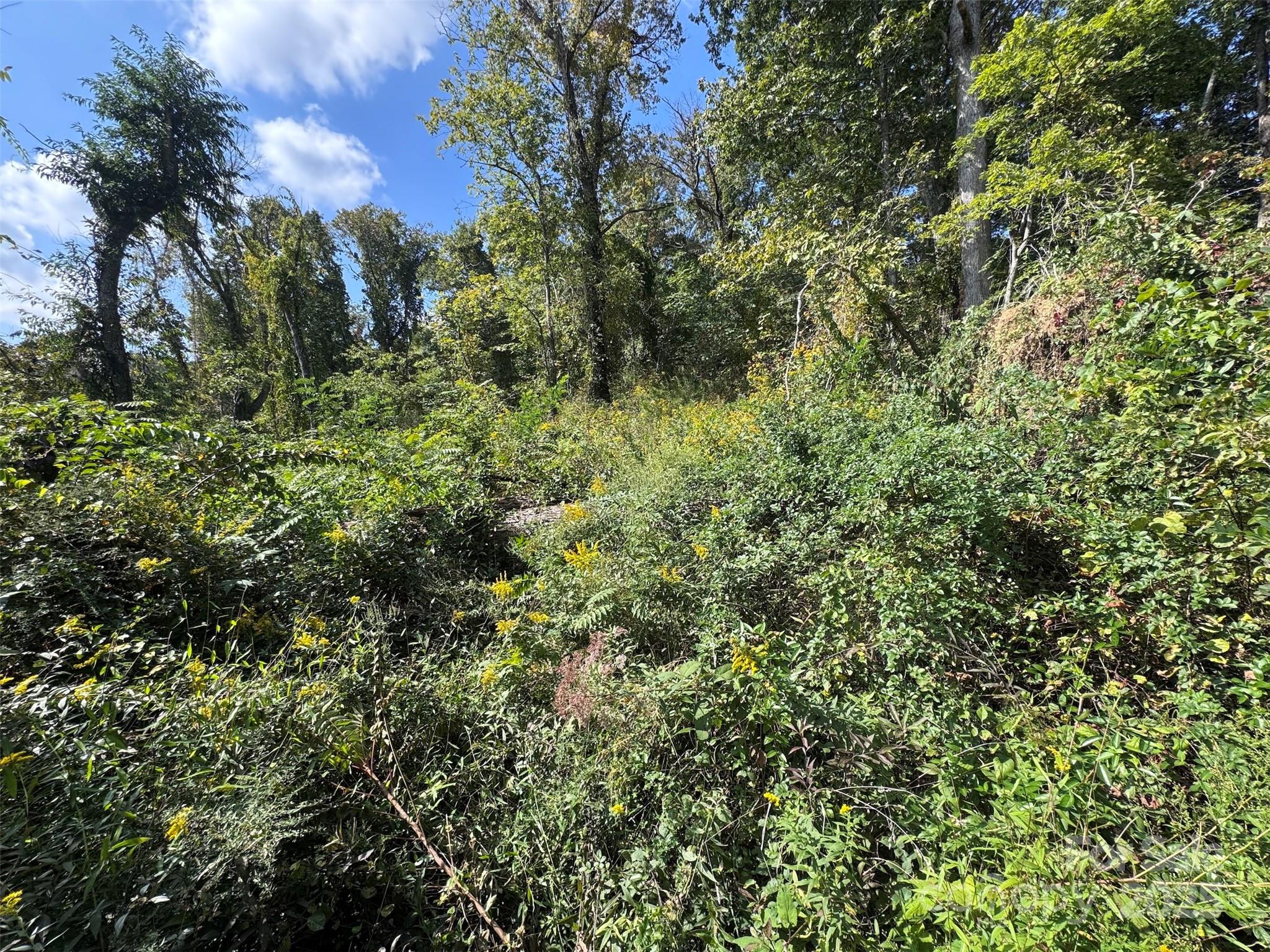 89 White Oak Gap Road Asheville NC 28803