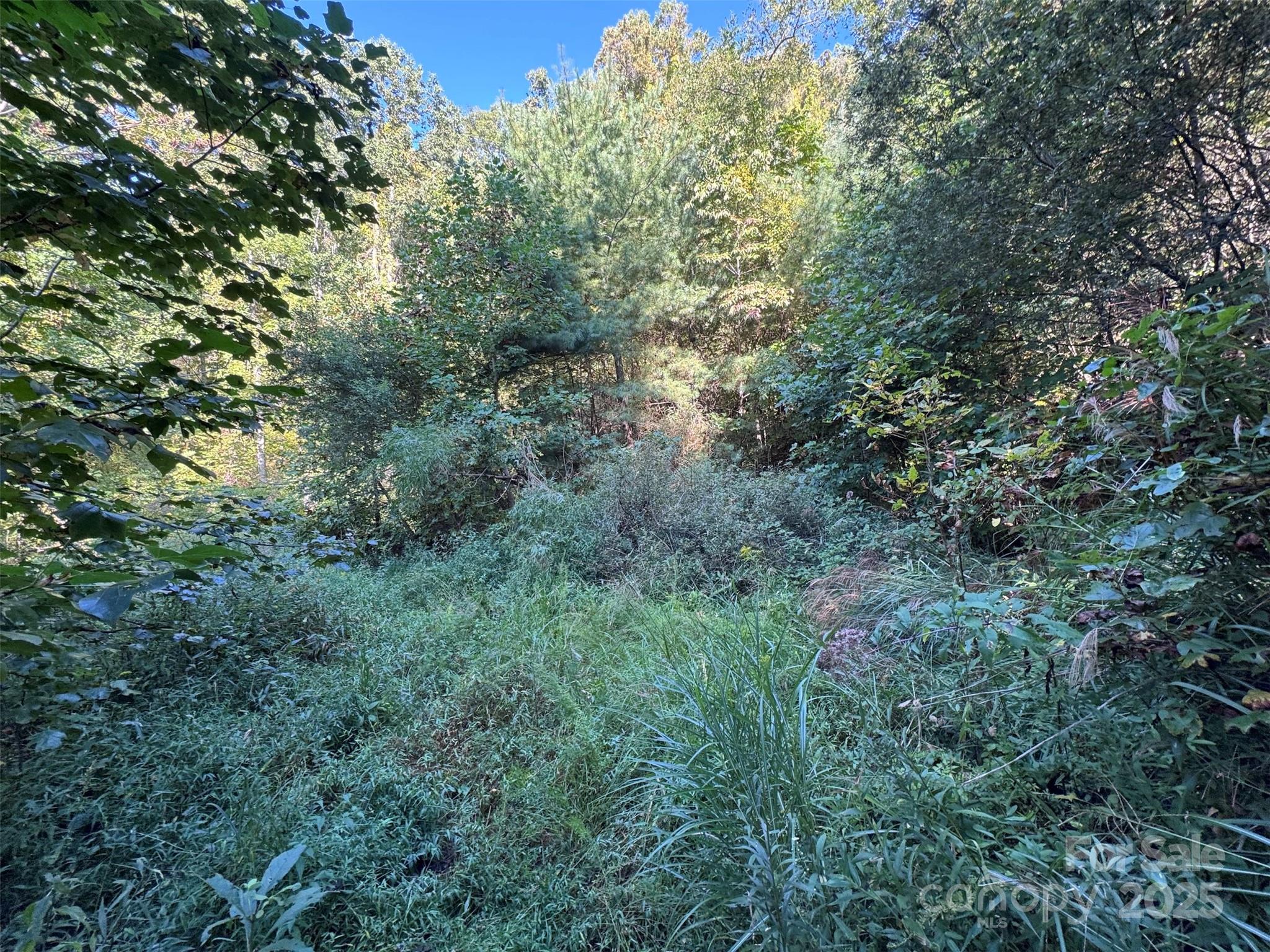 89 White Oak Gap Road Asheville NC 28803