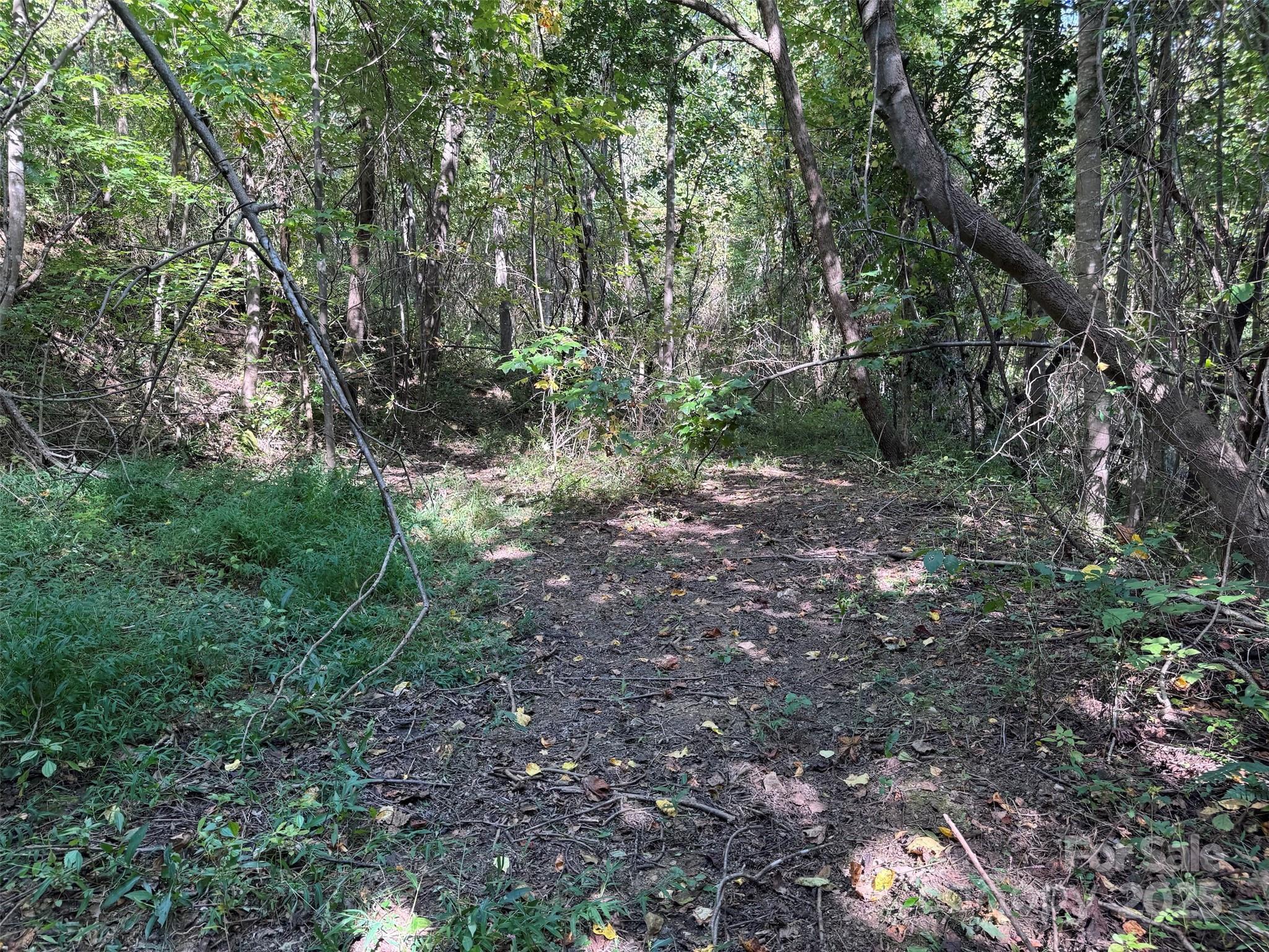 89 White Oak Gap Road Asheville NC 28803