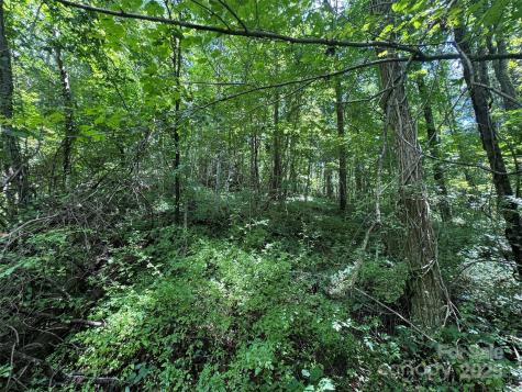 89 White Oak Gap Road Asheville NC 28803