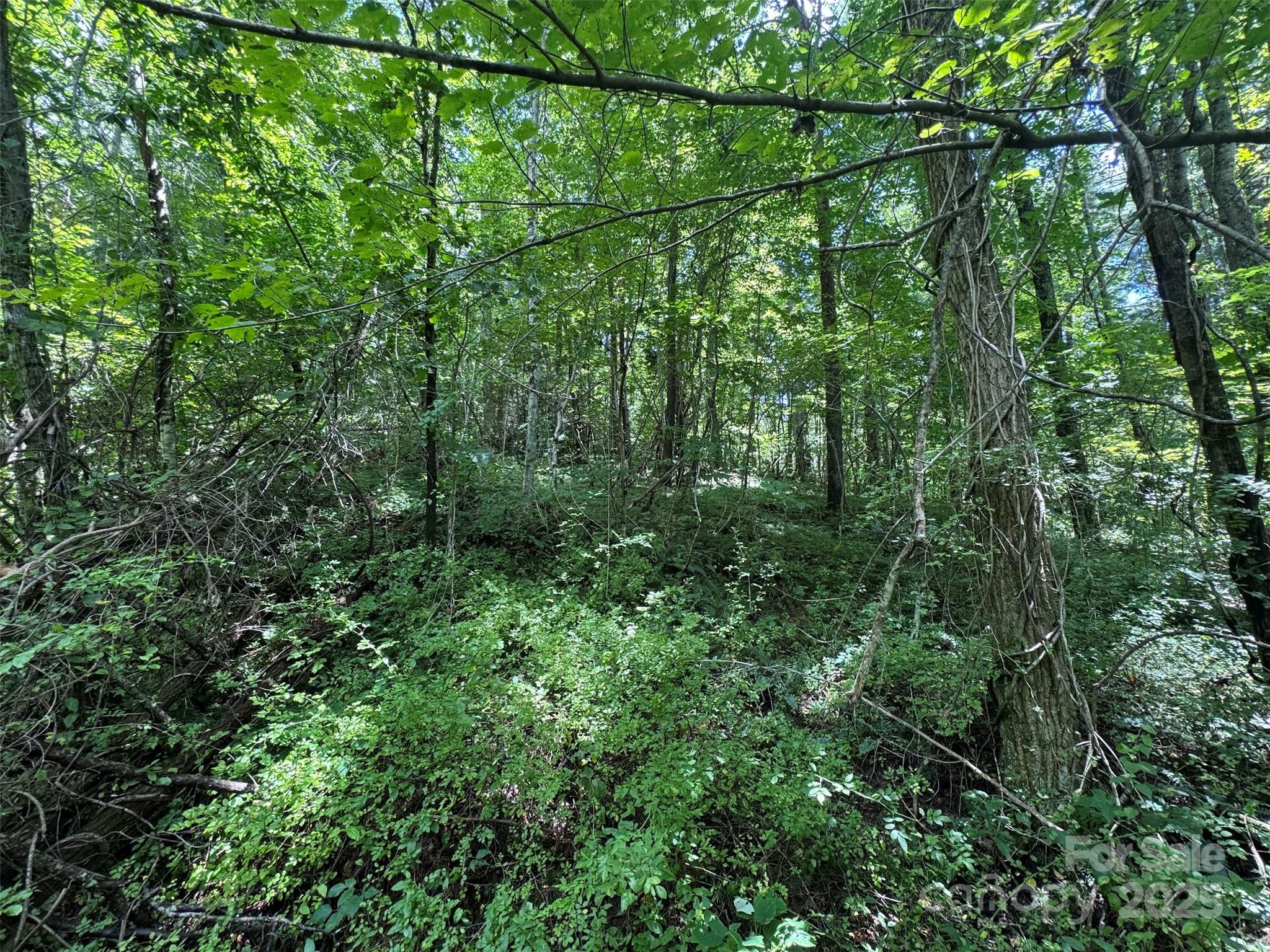 89 White Oak Gap Road Asheville NC 28803