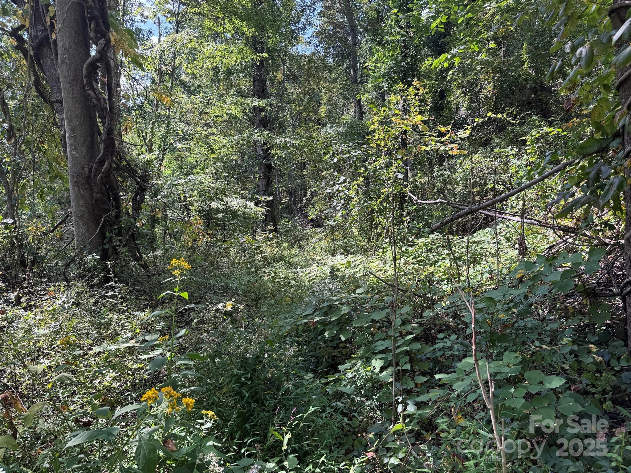 89 White Oak Gap Road Asheville NC 28803