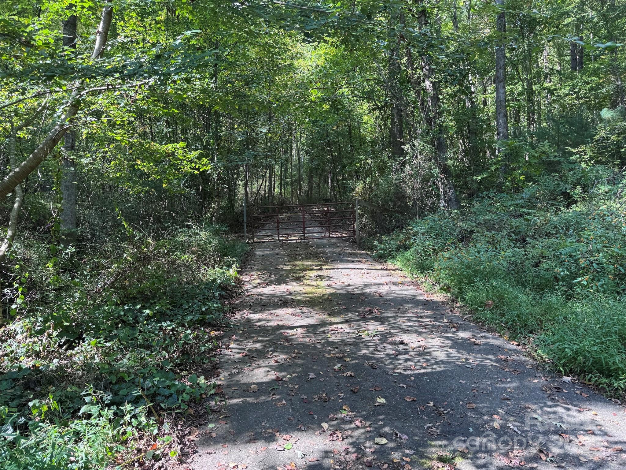 89 White Oak Gap Road Asheville NC 28803