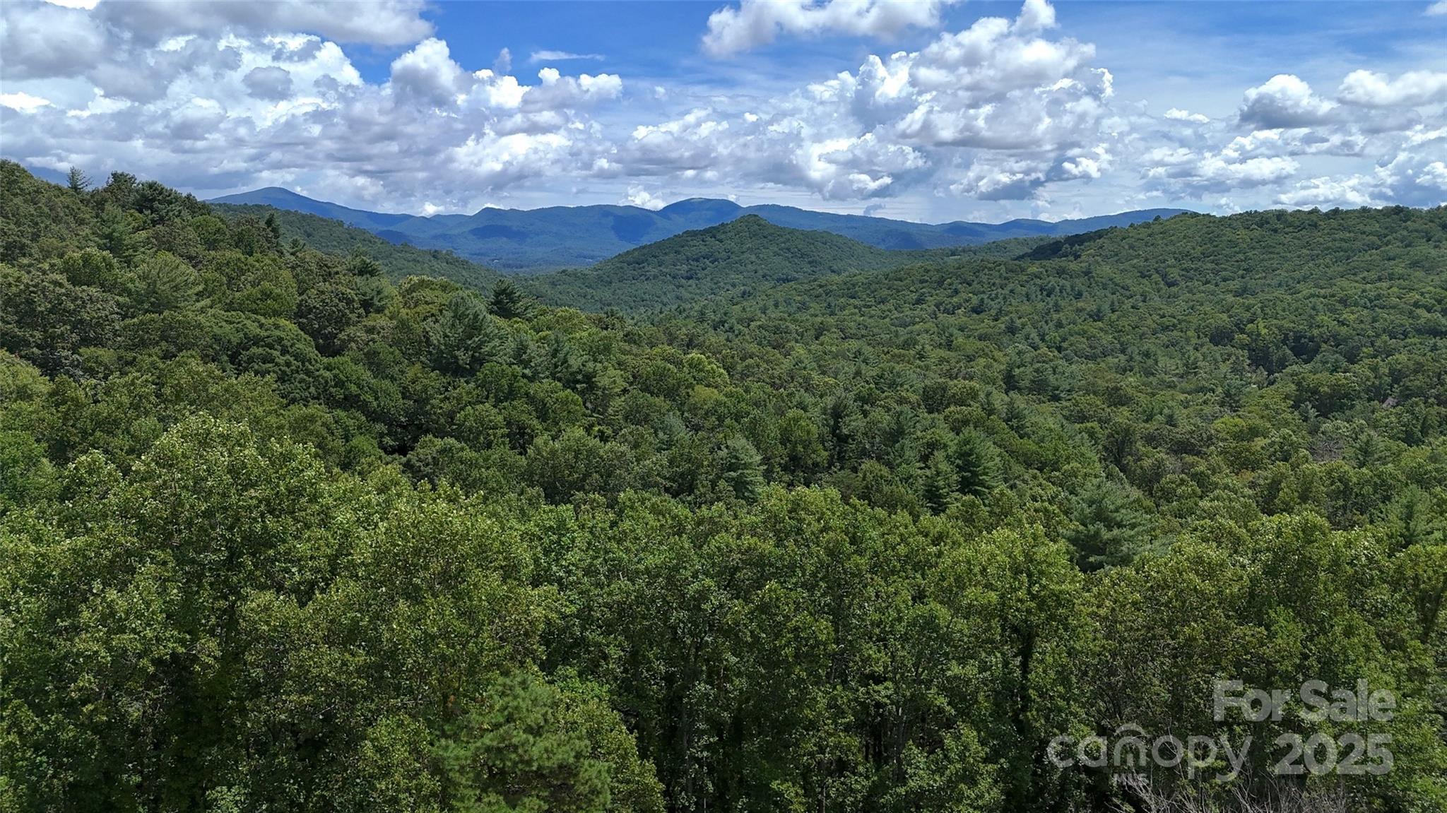 89 White Oak Gap Road Asheville NC 28803