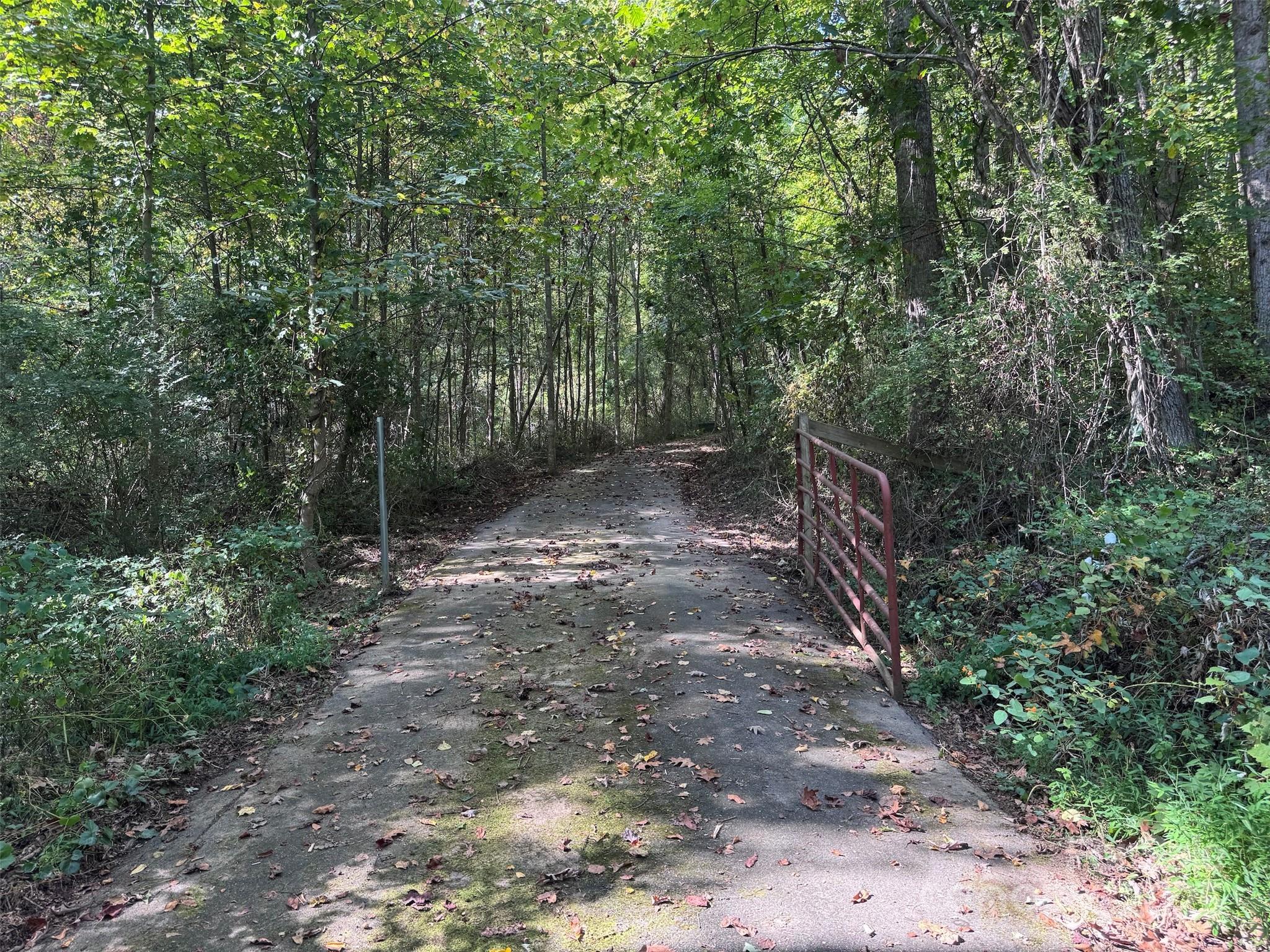 89 White Oak Gap Road Asheville NC 28803