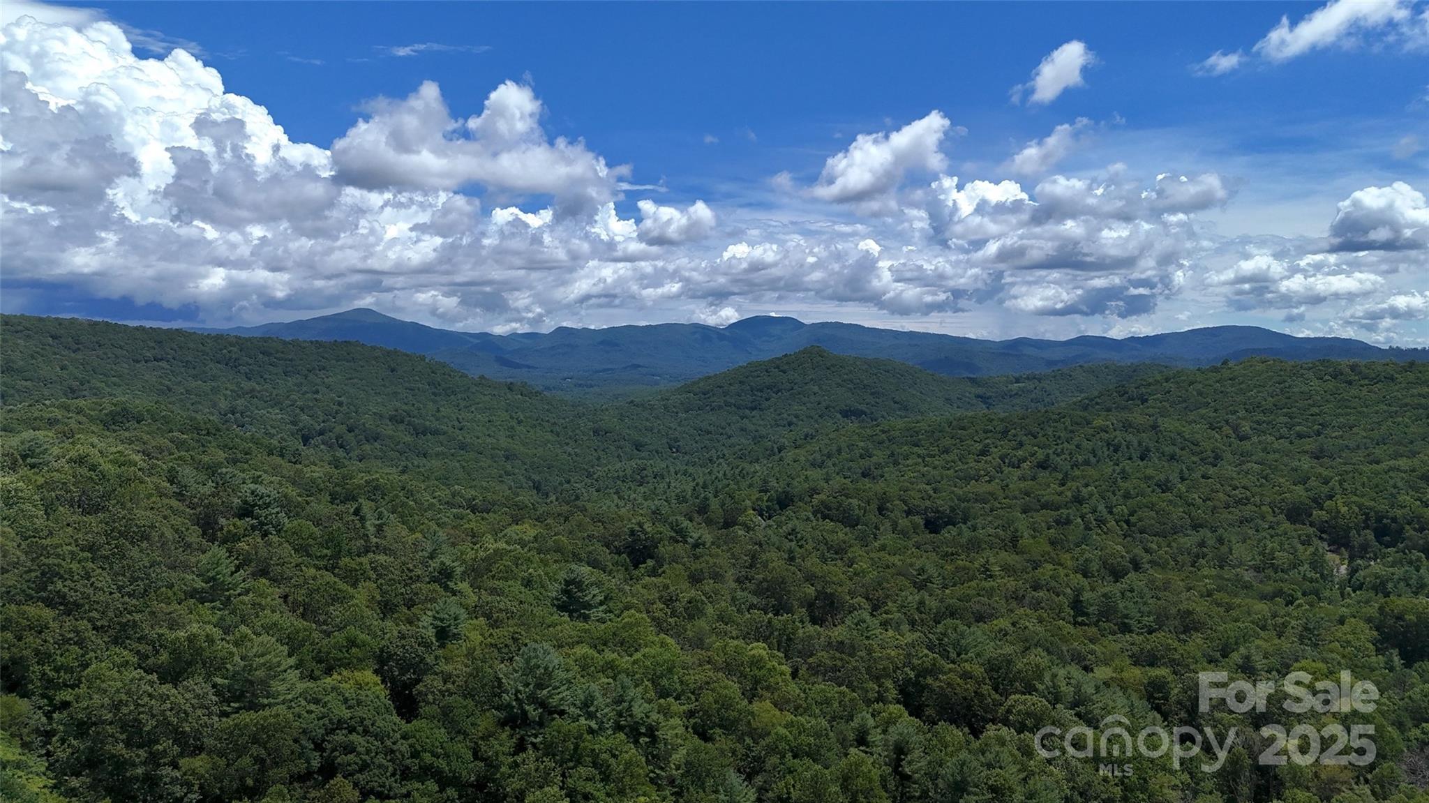 89 White Oak Gap Road Asheville NC 28803