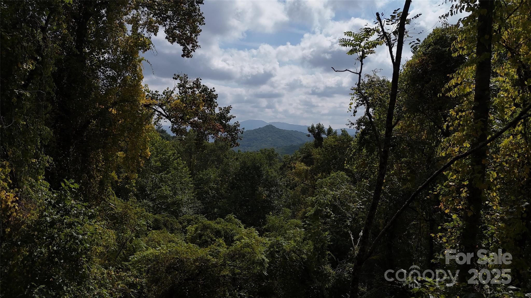89 White Oak Gap Road Asheville NC 28803