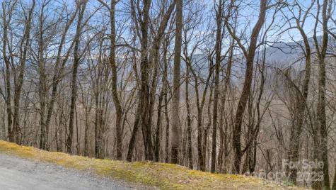 Tbd Live Oak Loop Waynesville NC 28785