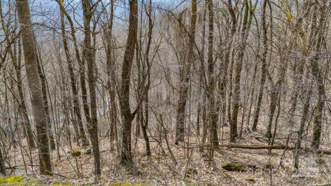 Tbd Live Oak Loop Waynesville NC 28785