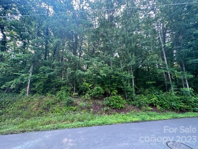 605 Saint Cloud Drive Statesville NC 28625