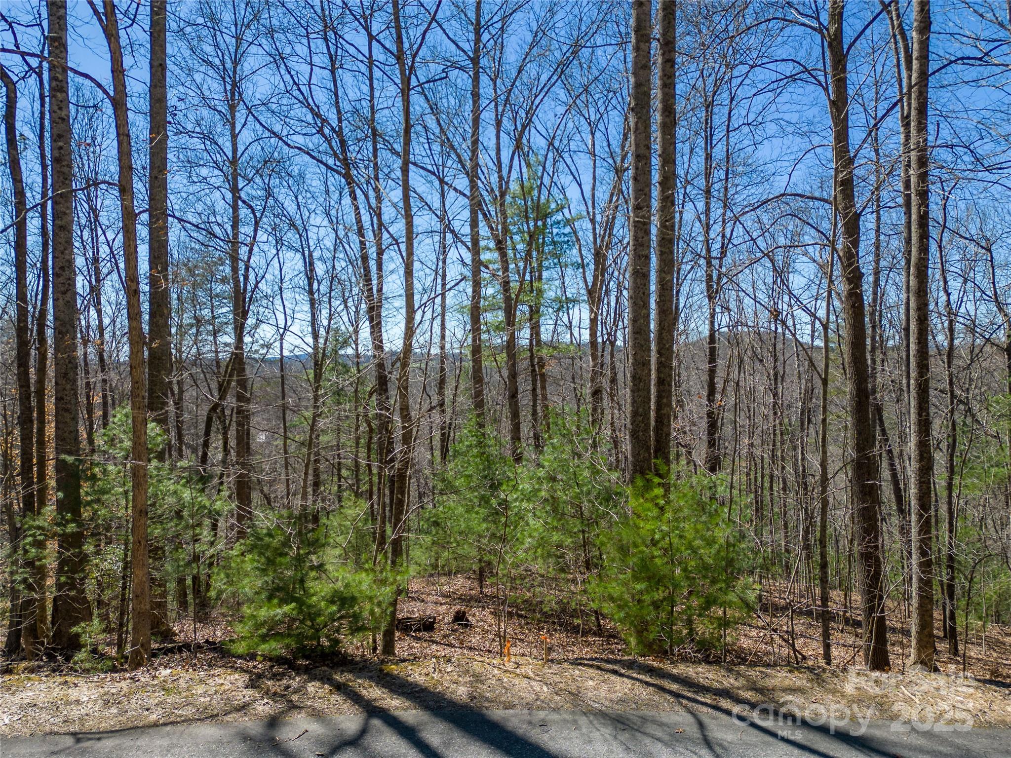 132 Overlook Park Drive Hendersonville NC 28792