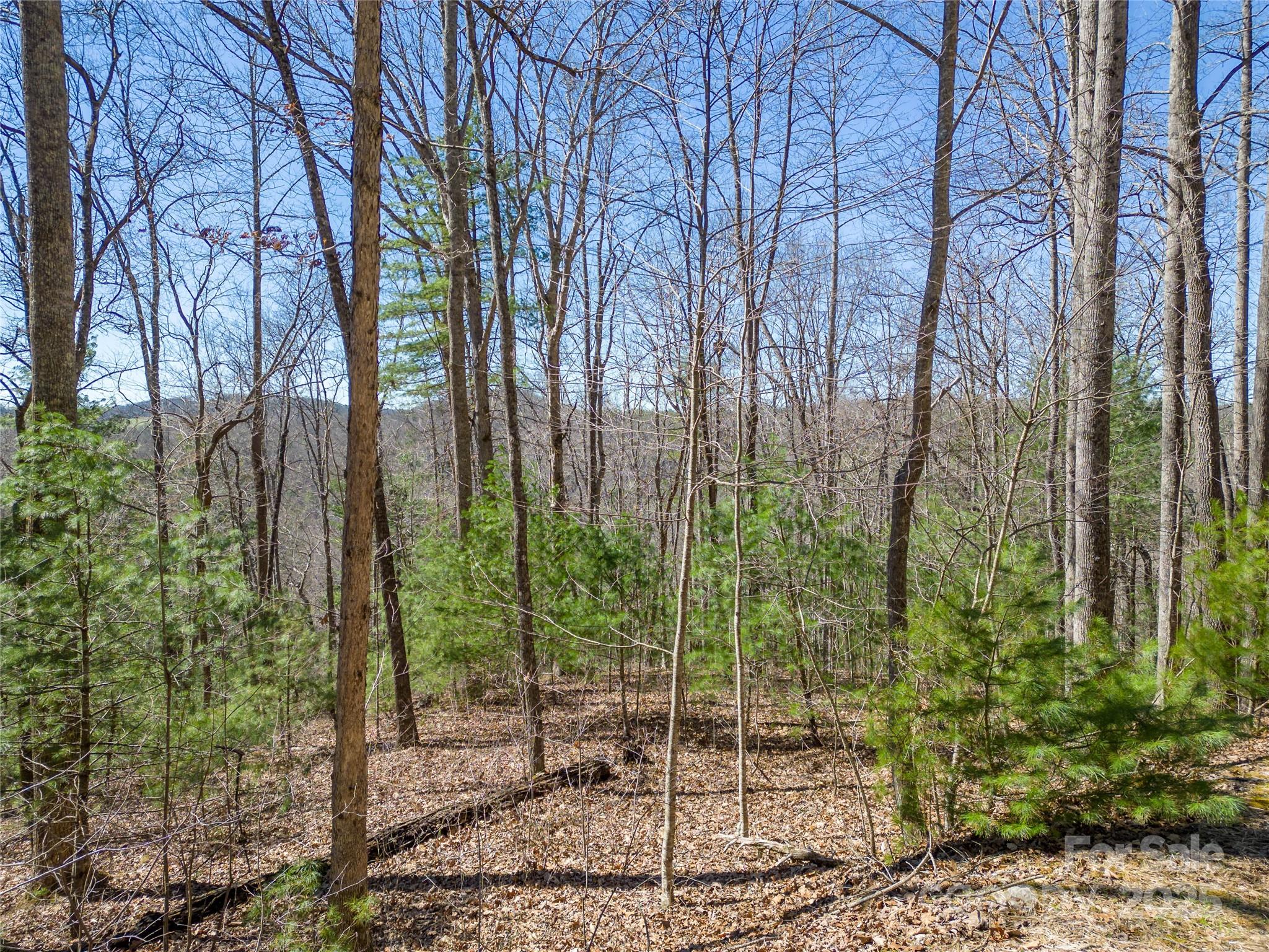 132 Overlook Park Drive Hendersonville NC 28792