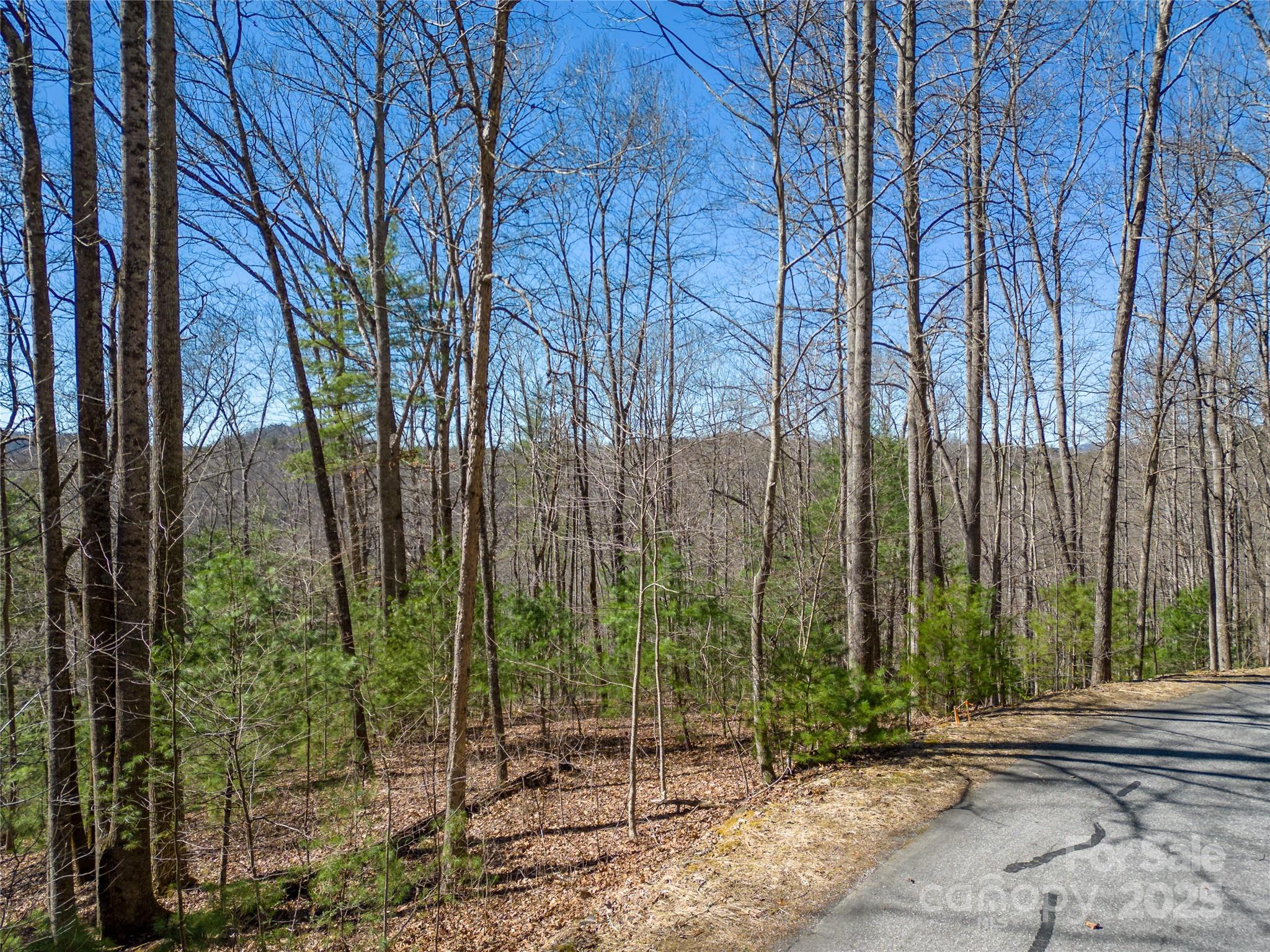 132 Overlook Park Drive Hendersonville NC 28792