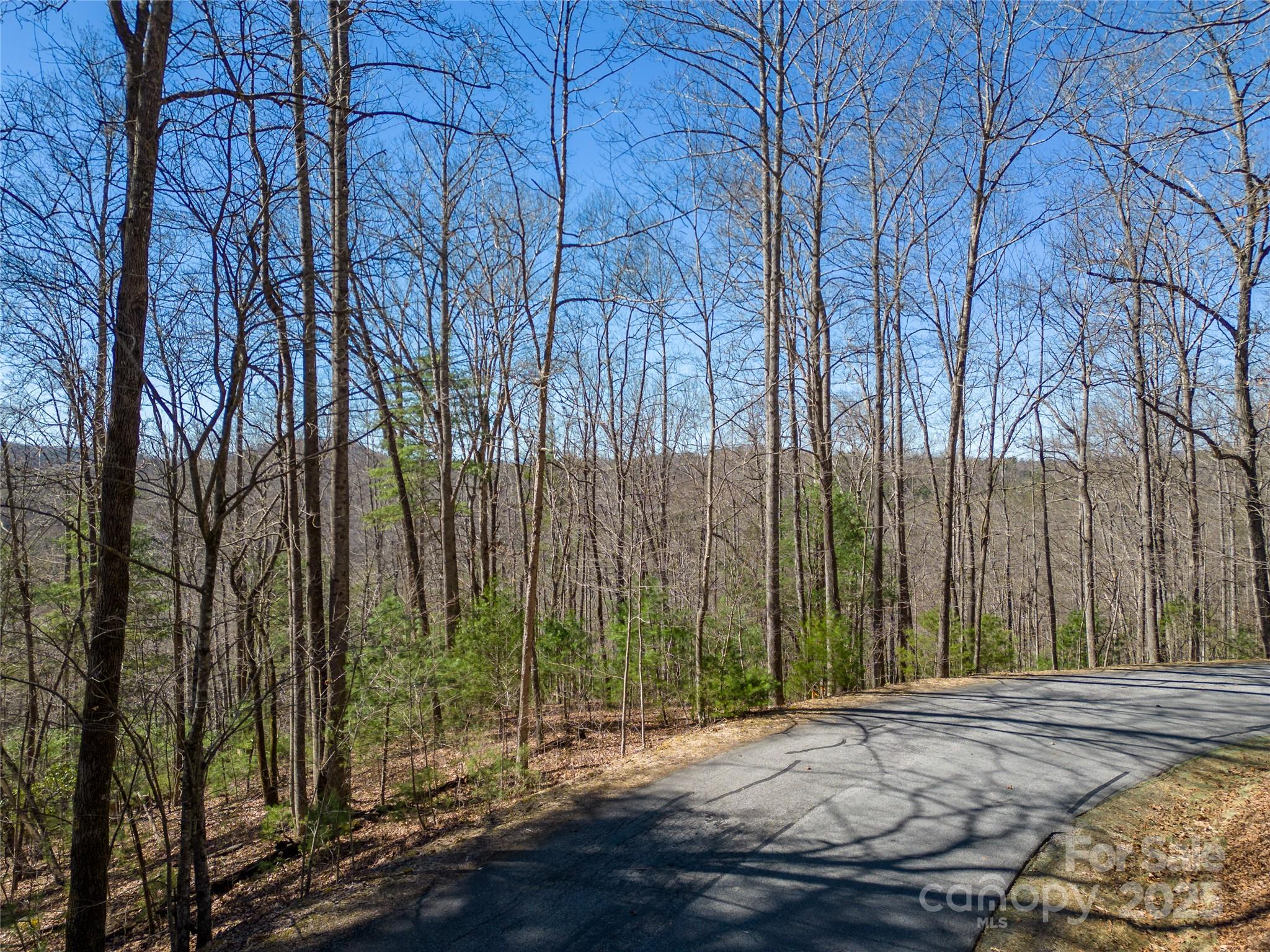 132 Overlook Park Drive Hendersonville NC 28792