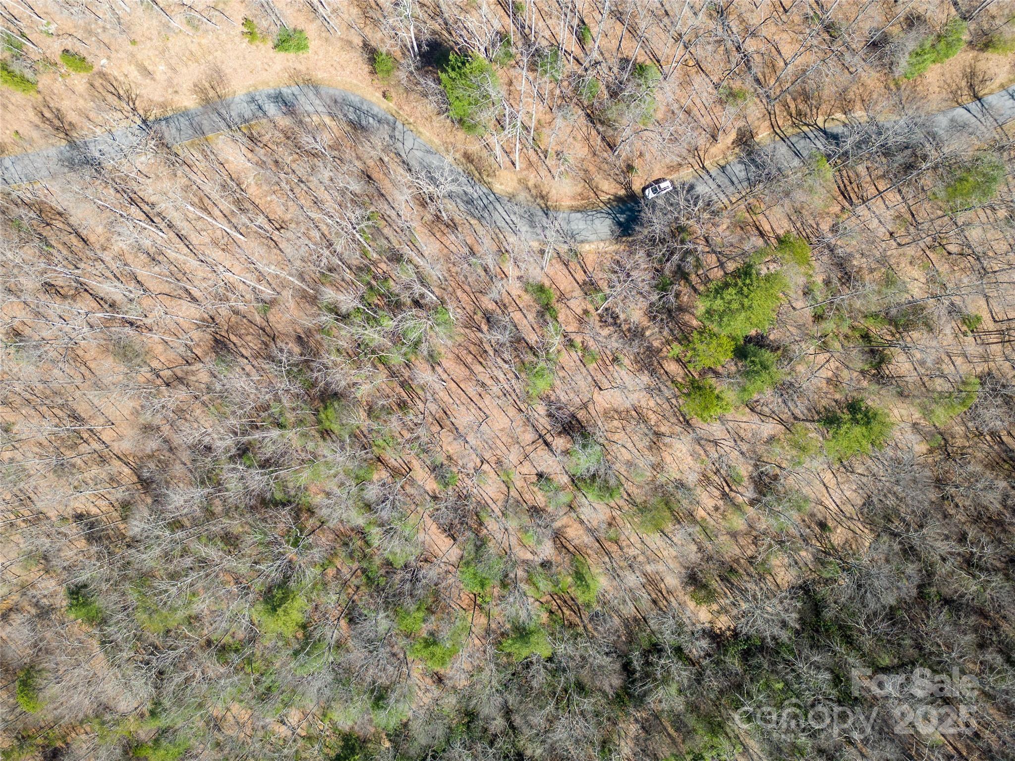 132 Overlook Park Drive Hendersonville NC 28792