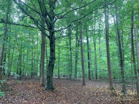 0 Fawn Lane Waxhaw NC 28173