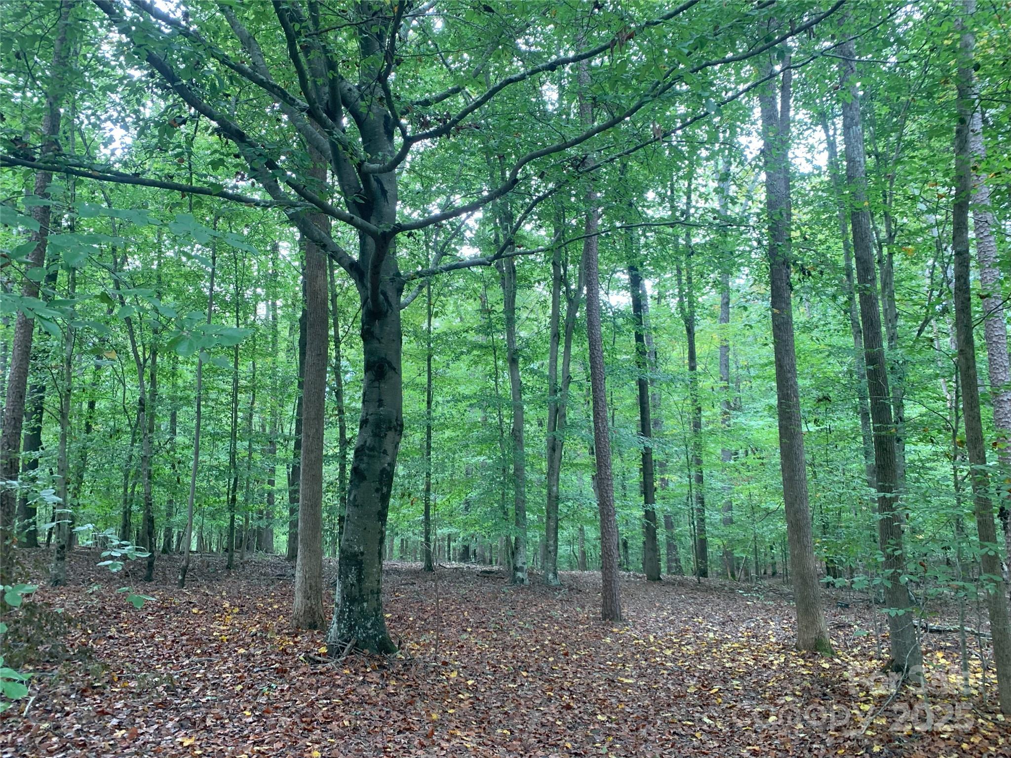 0 Fawn Lane Waxhaw NC 28173