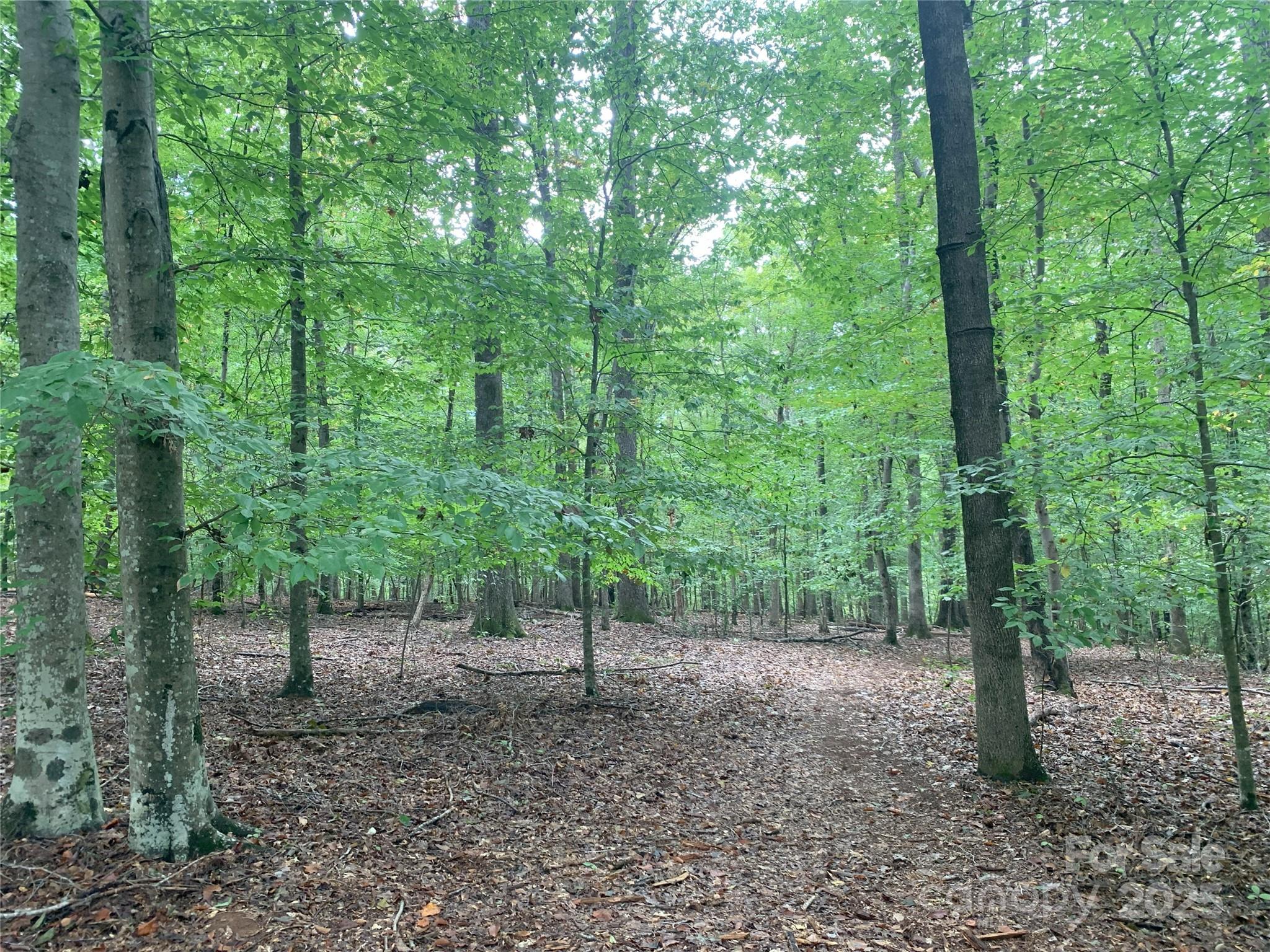 0 Fawn Lane Waxhaw NC 28173