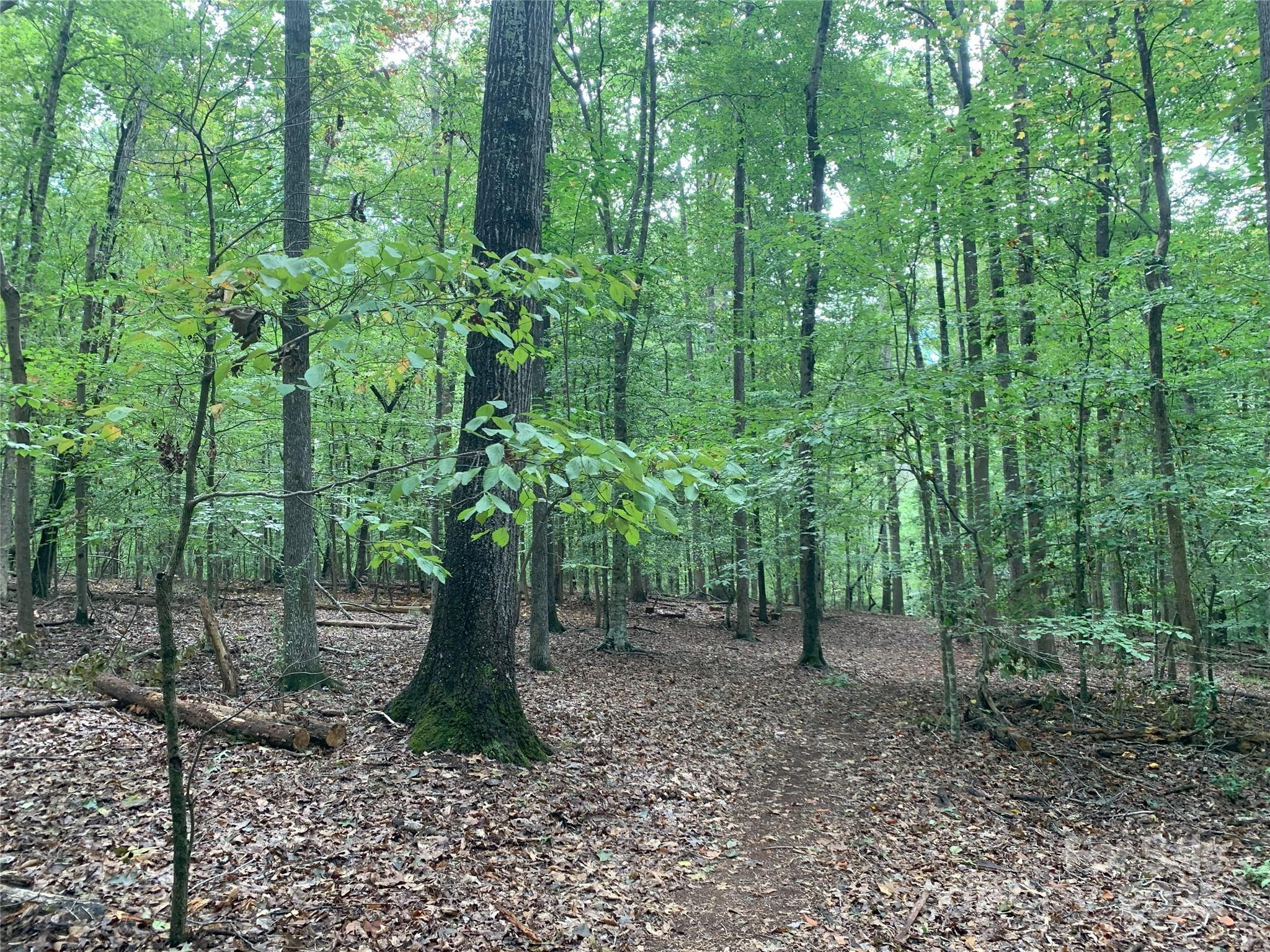 0 Fawn Lane Waxhaw NC 28173