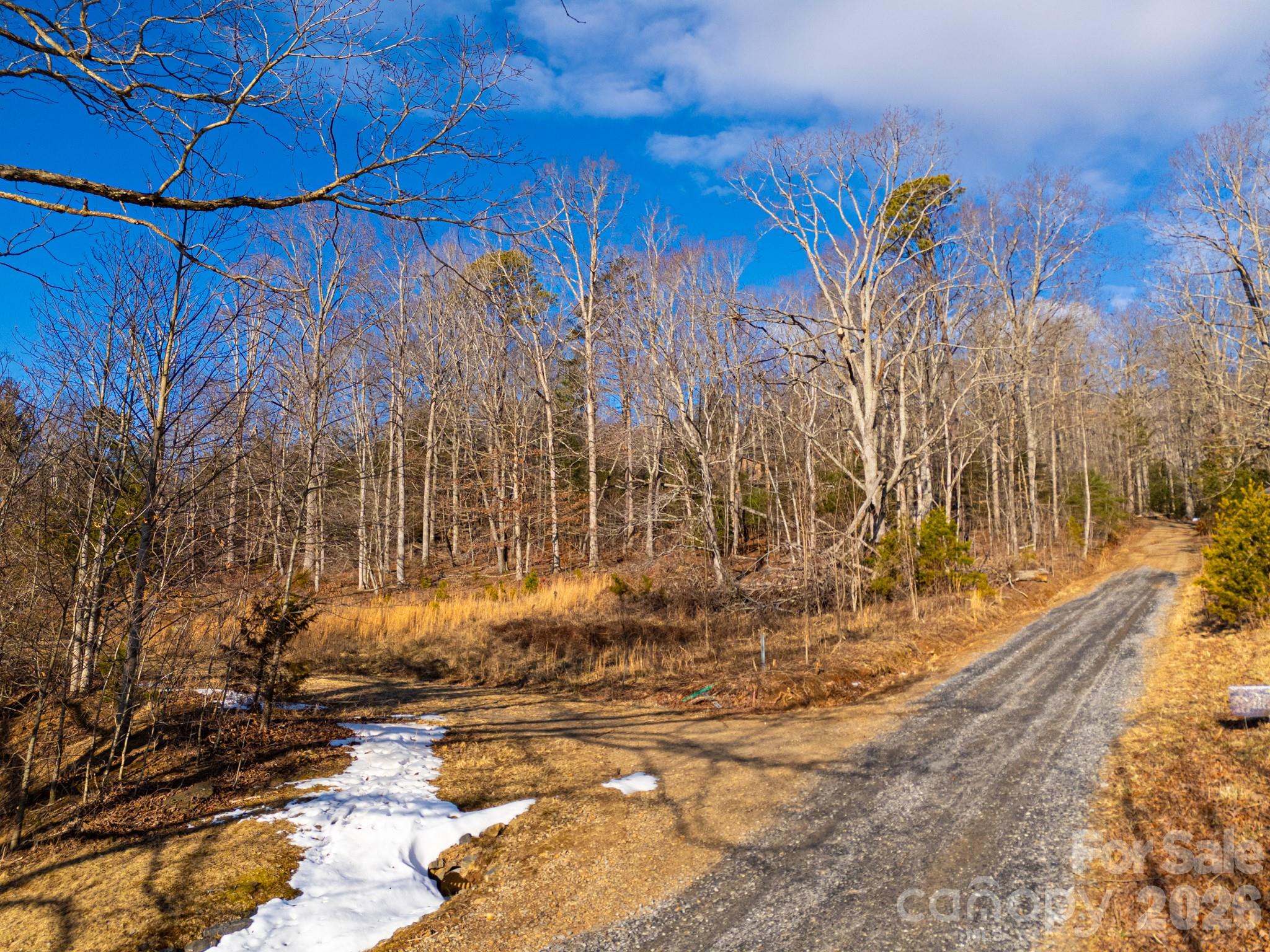 Tbd Mystic View Lane Black Mountain NC 28711