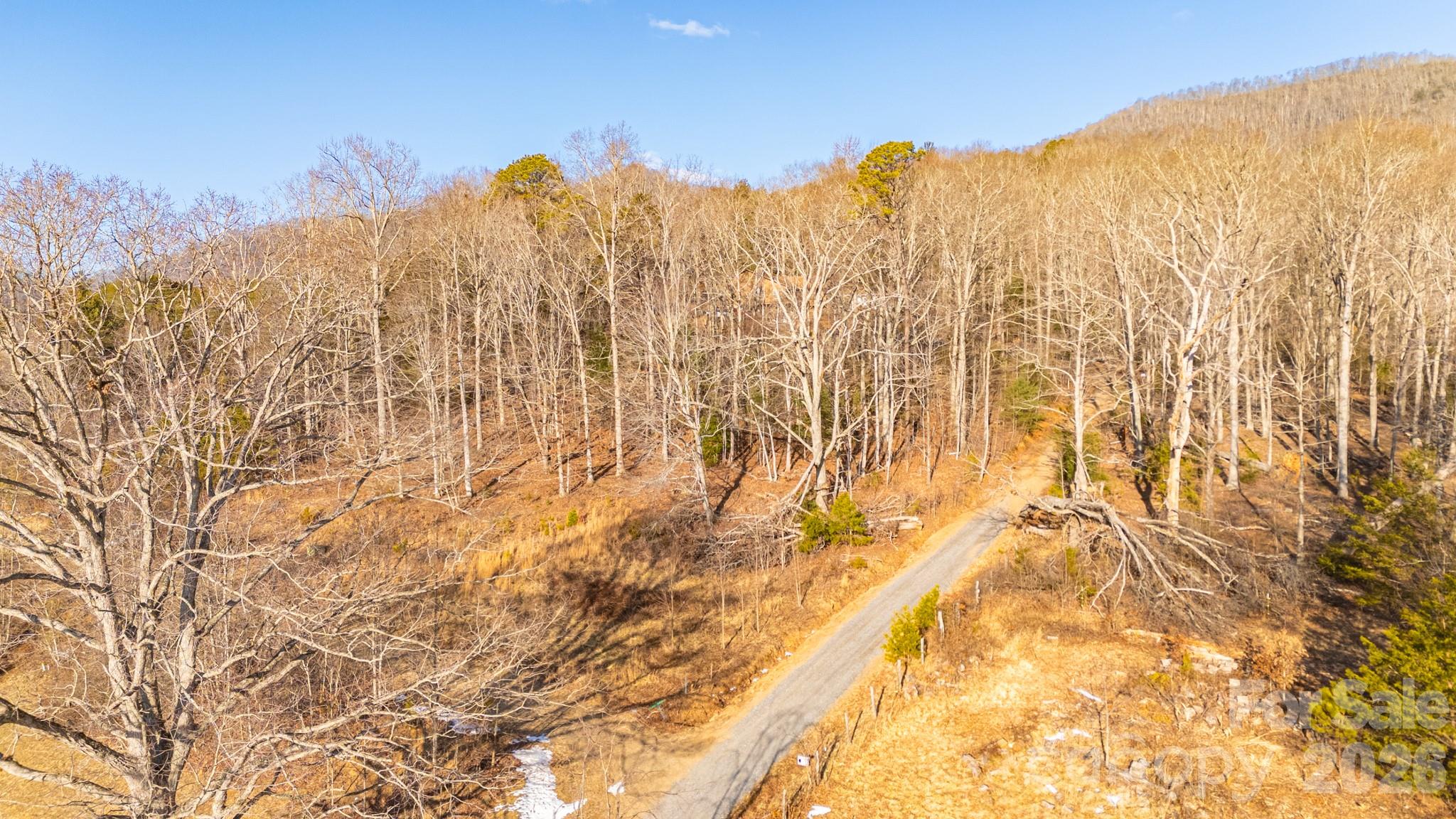 Tbd Mystic View Lane Black Mountain NC 28711