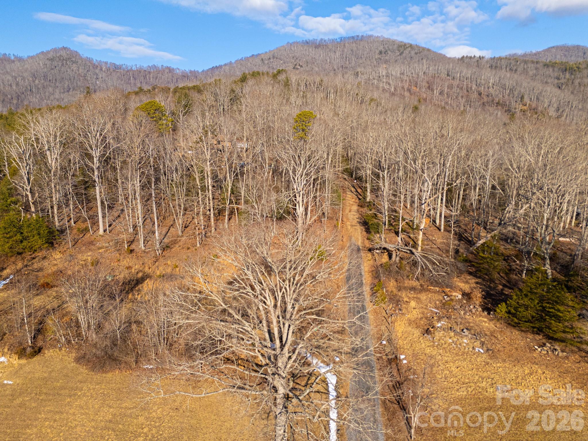 Tbd Mystic View Lane Black Mountain NC 28711