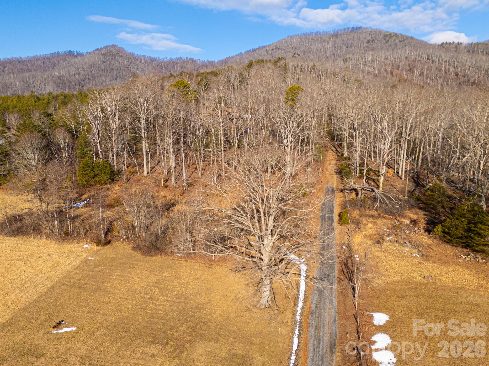 Tbd Mystic View Lane Black Mountain NC 28711