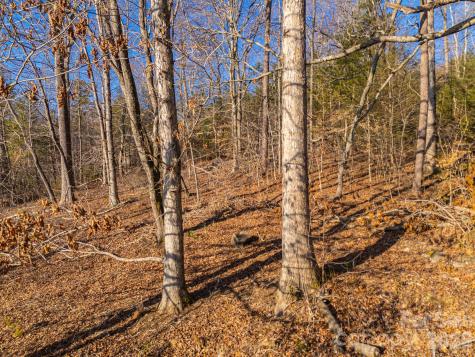 Tbd Mystic View Lane Black Mountain NC 28711