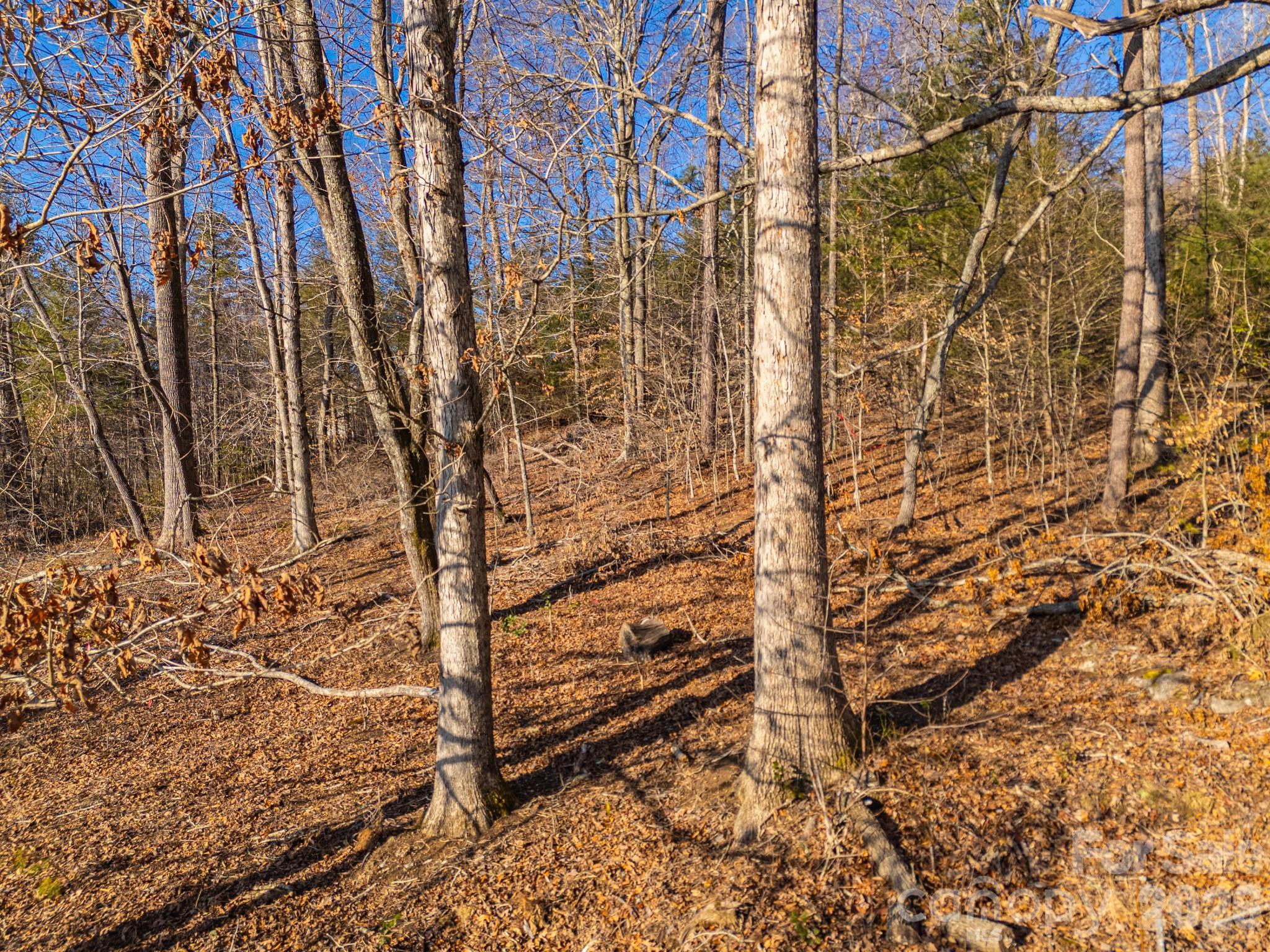 Tbd Mystic View Lane Black Mountain NC 28711