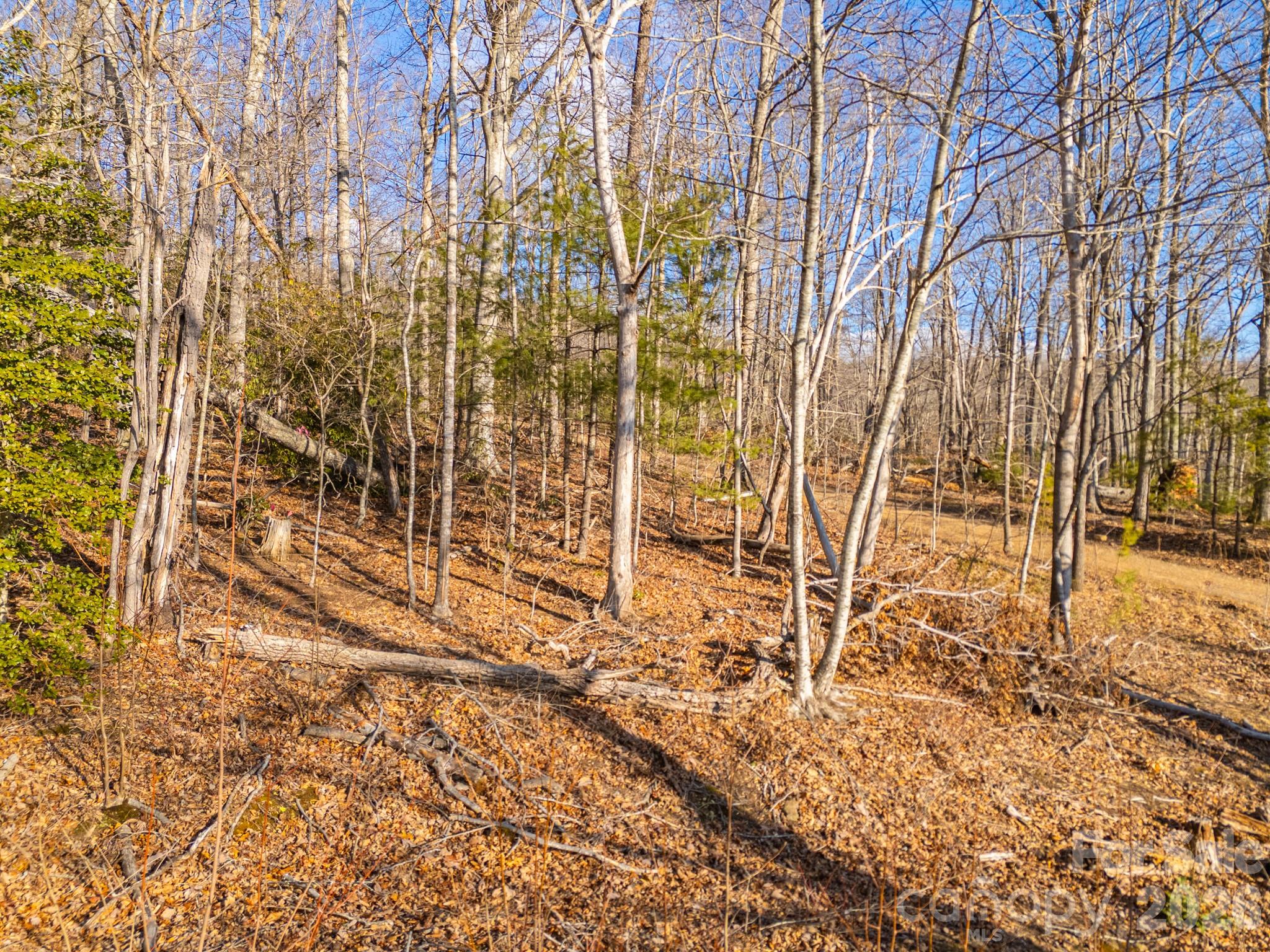 Tbd Mystic View Lane Black Mountain NC 28711