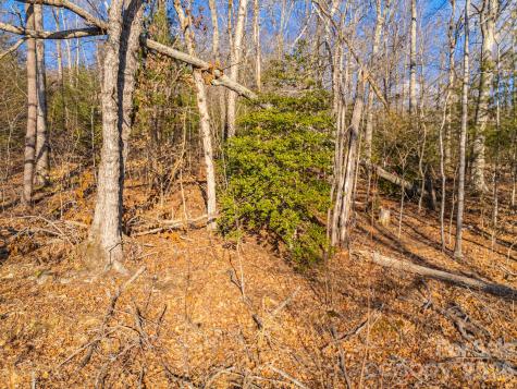 Tbd Mystic View Lane Black Mountain NC 28711