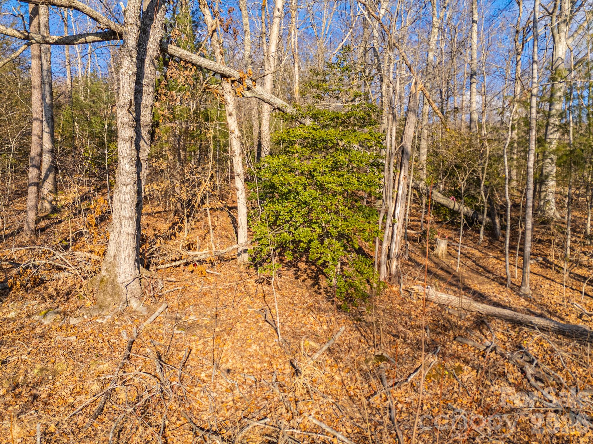 Tbd Mystic View Lane Black Mountain NC 28711