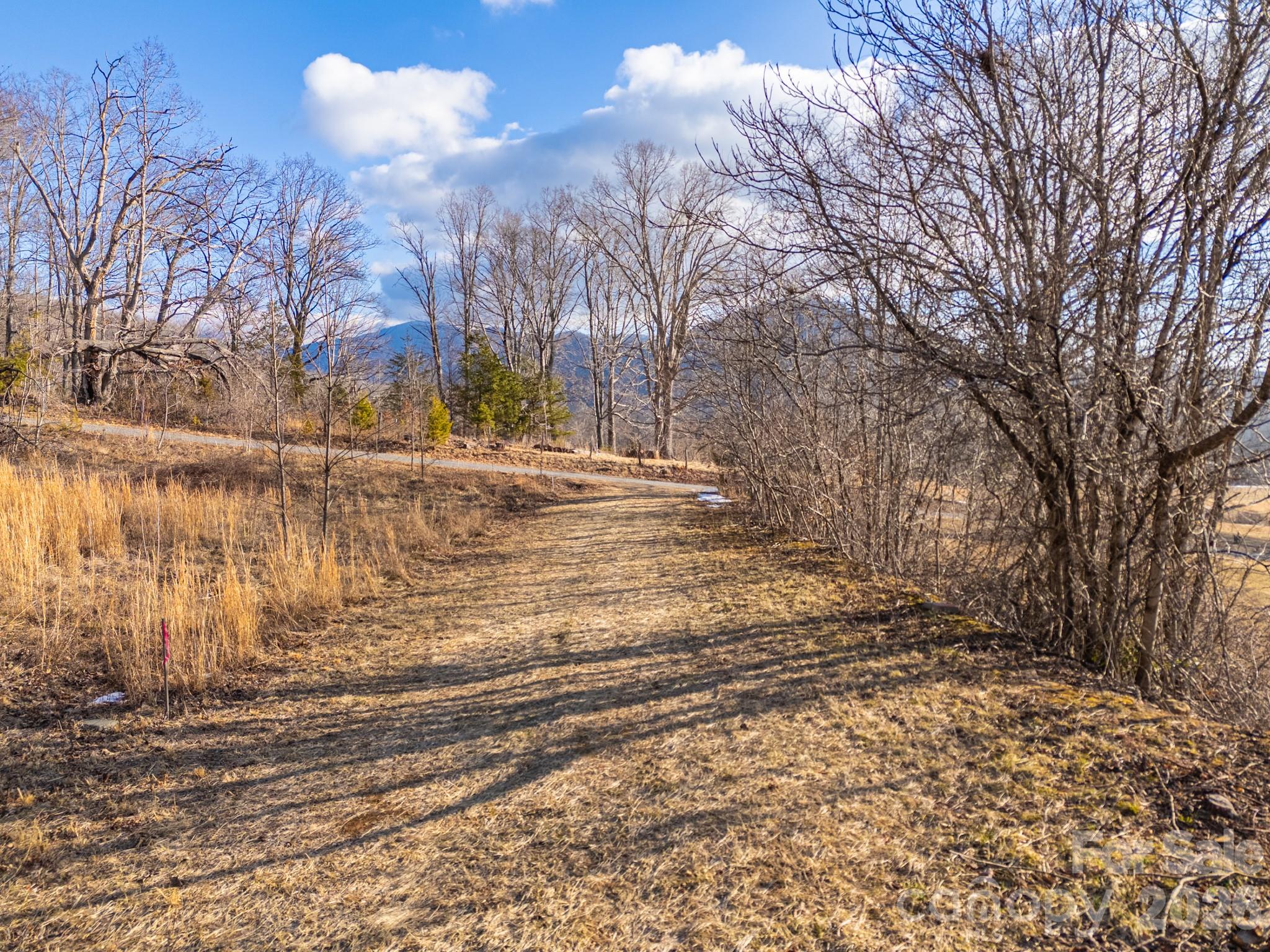 Tbd Mystic View Lane Black Mountain NC 28711