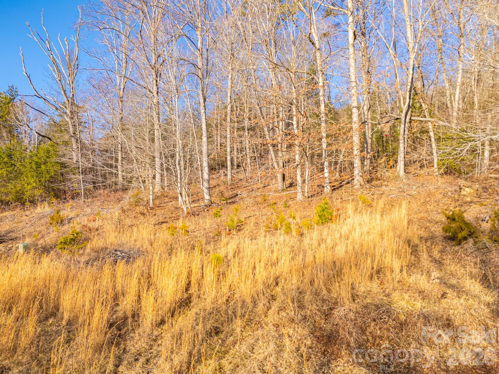 Tbd Mystic View Lane Black Mountain NC 28711