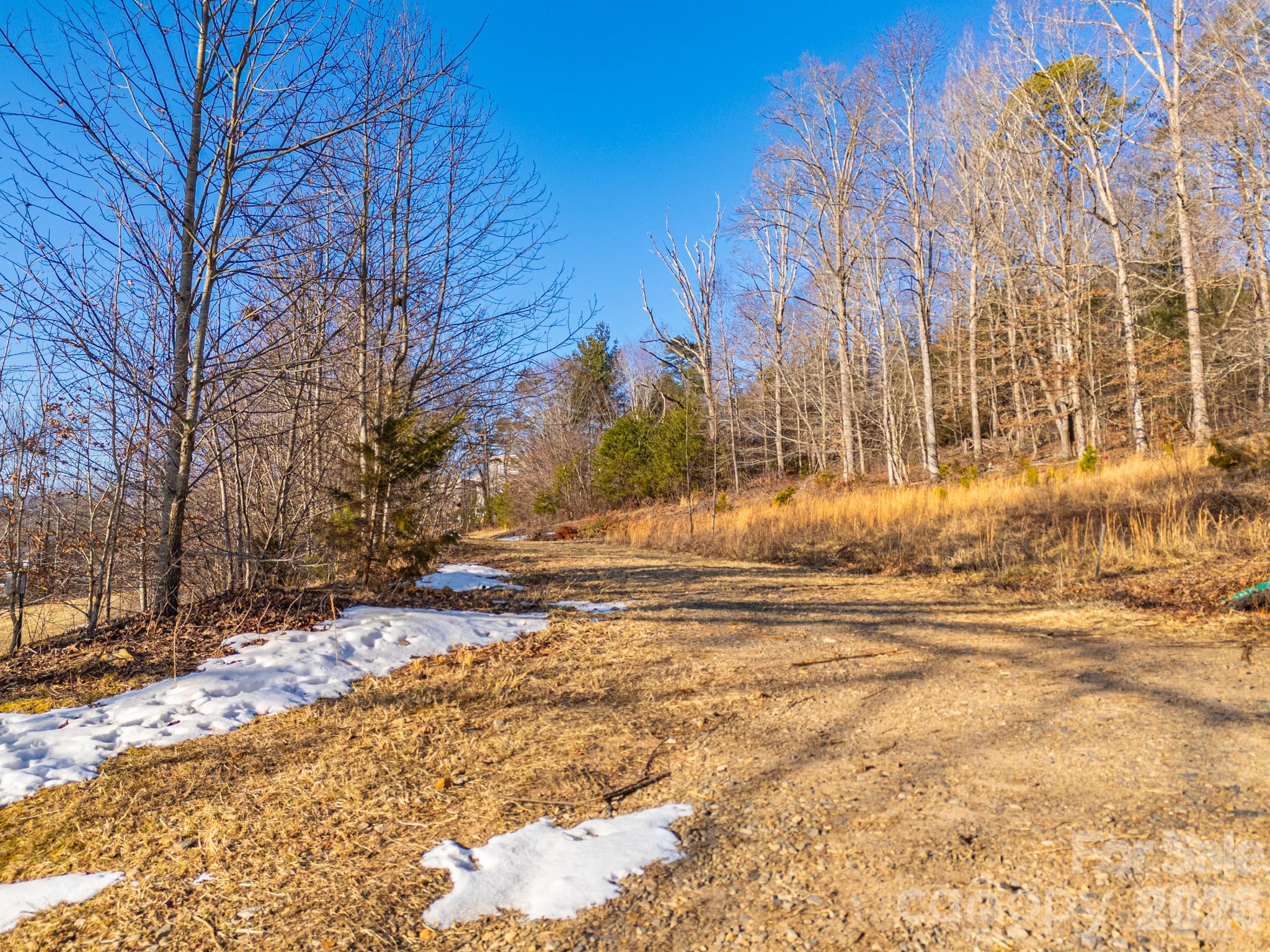 Tbd Mystic View Lane Black Mountain NC 28711