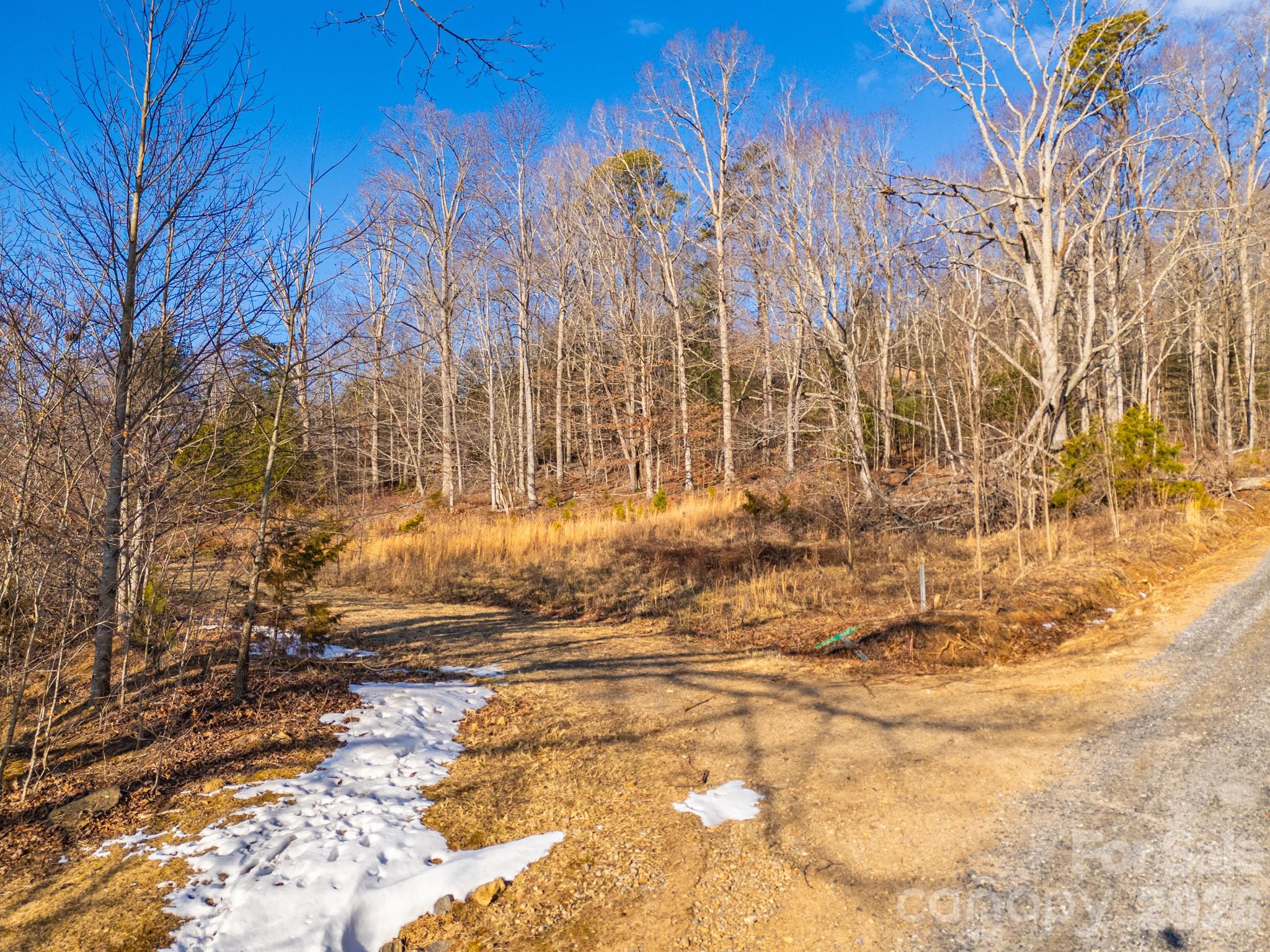 Tbd Mystic View Lane Black Mountain NC 28711